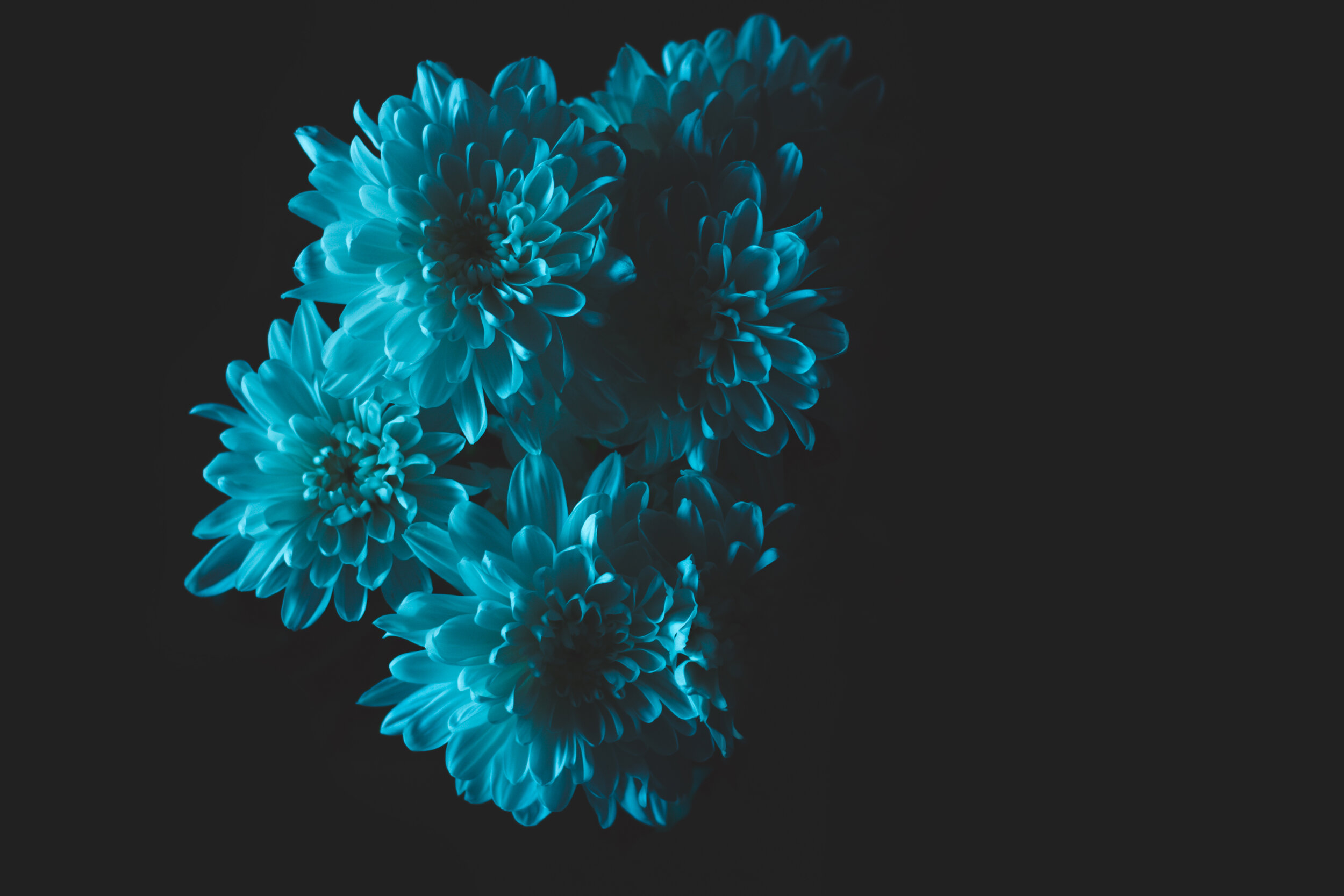 Sweetness in Shadows: What Healing Can Teach Us If We Let It