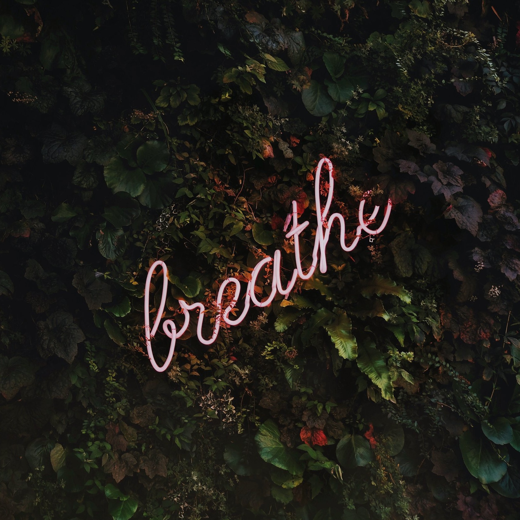 What Self-Care Really Means