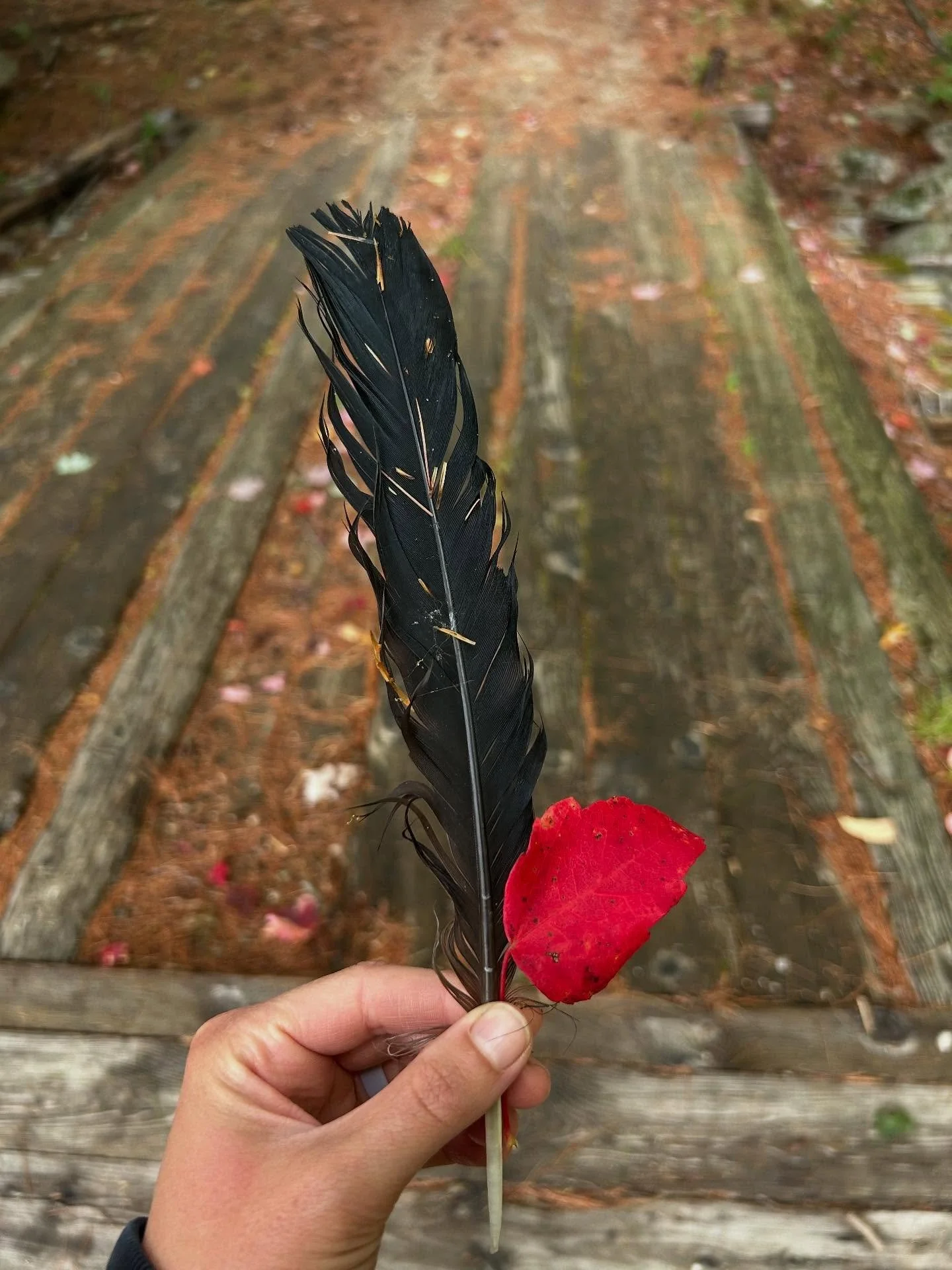 Why am I surprised that when I allow myself to stay lost&hellip; to not rush myself to make half baked moves or lock into ideas out of what may appeal most vs. what feels most aligned that clarity follows. 

Piercing through what&rsquo;s felt like a 
