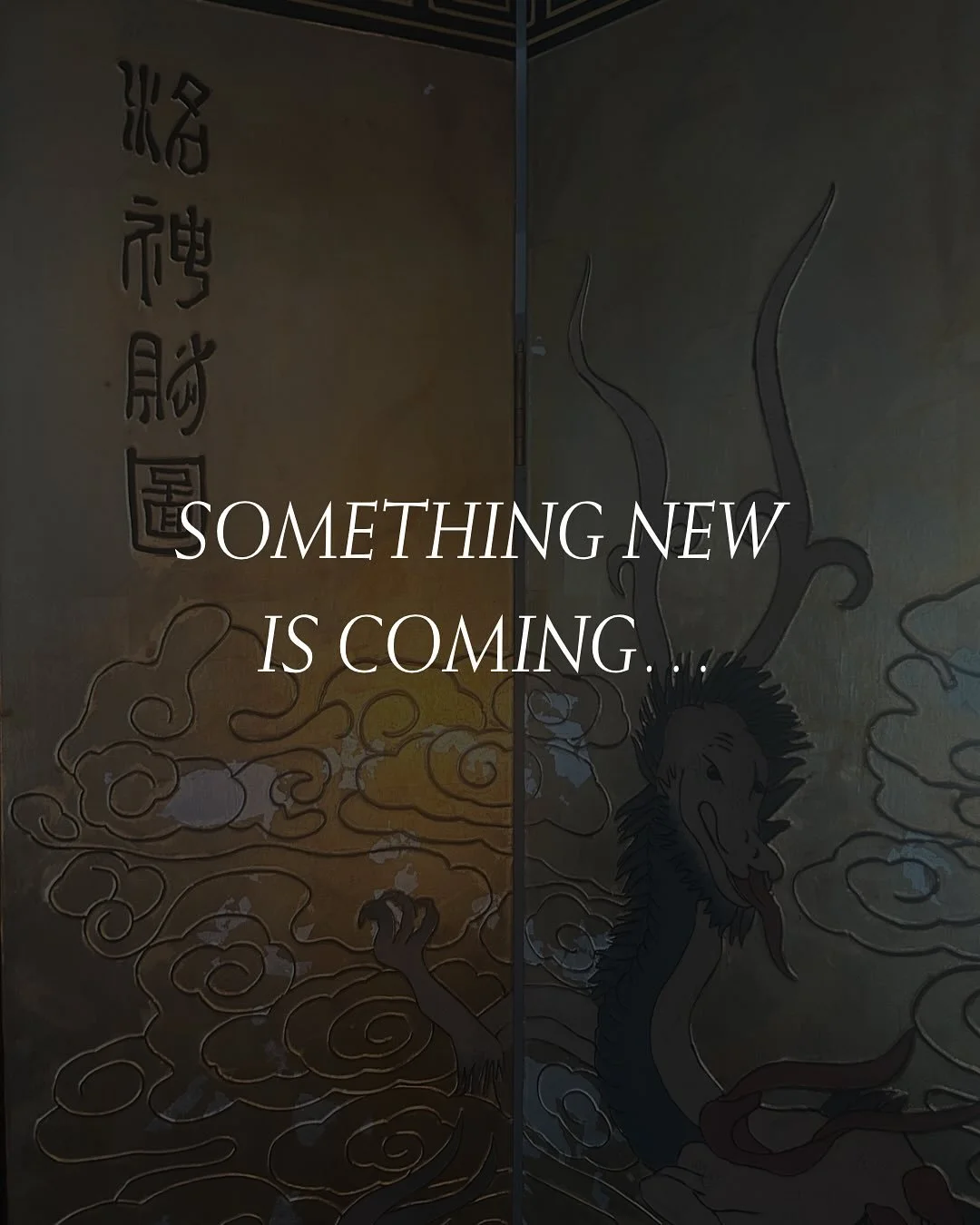 After years of haunting me, it&rsquo;s coming to fruition. Finally. Ideas are funny like that.

But I&rsquo;m back&hellip;
I logged off for the last week+ to work on what&rsquo;s been setting my heart on fire without distraction 
&amp; now it&rsquo;s