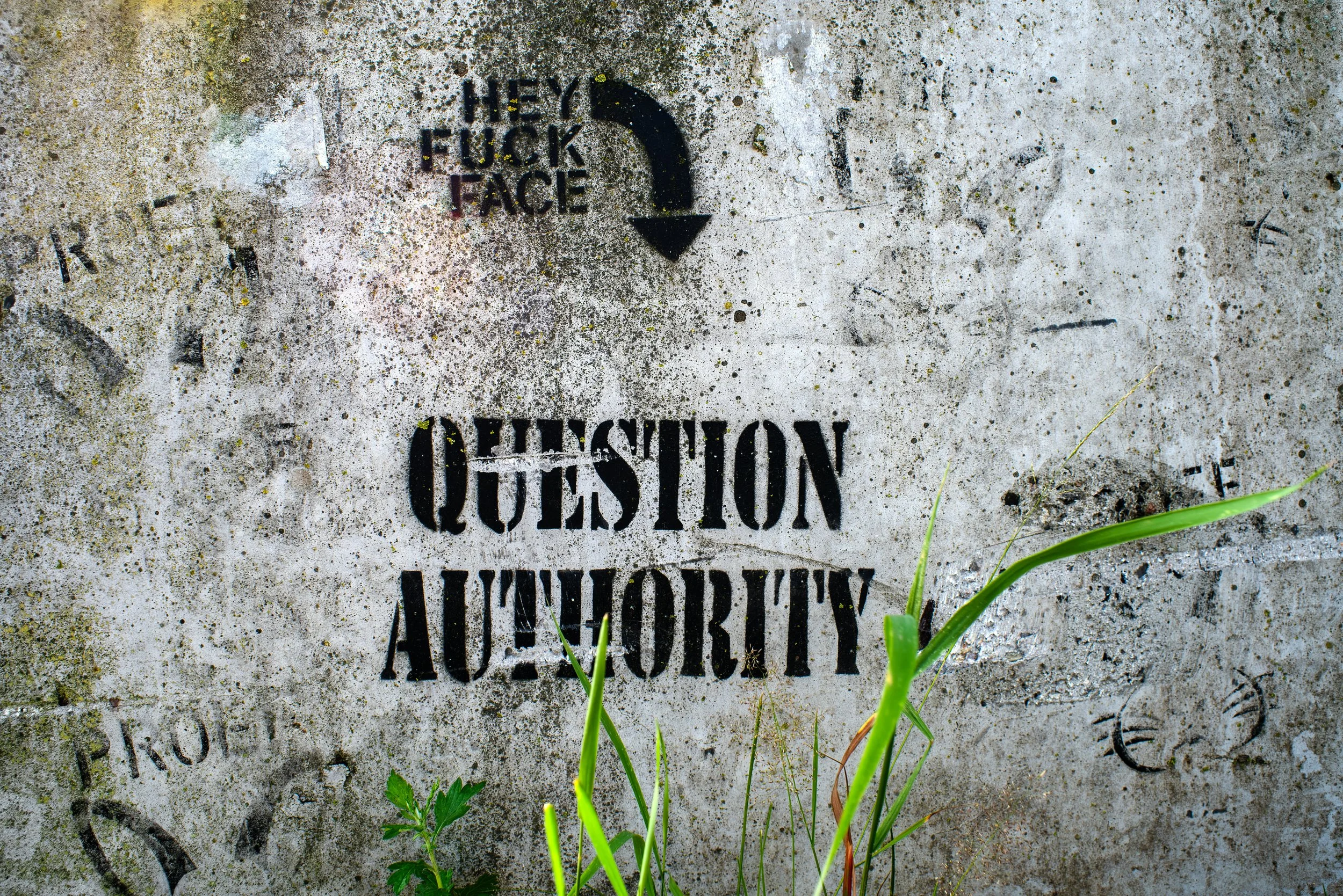 The phrase hey fuck face question authority written on a wall