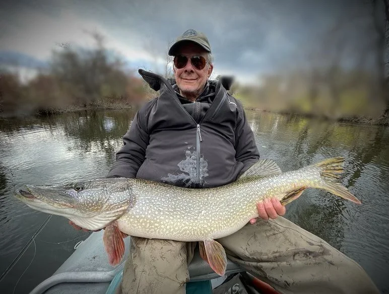 @jproujan we had a solid upper 30s fish on the back rig when this giant ate off the nose of the boat&hellip; #doubledup #pike #esox #bleedwater #flylife #fishitwell #rodeo Its been one fun ride this fall catching big pike locally! #buylocal