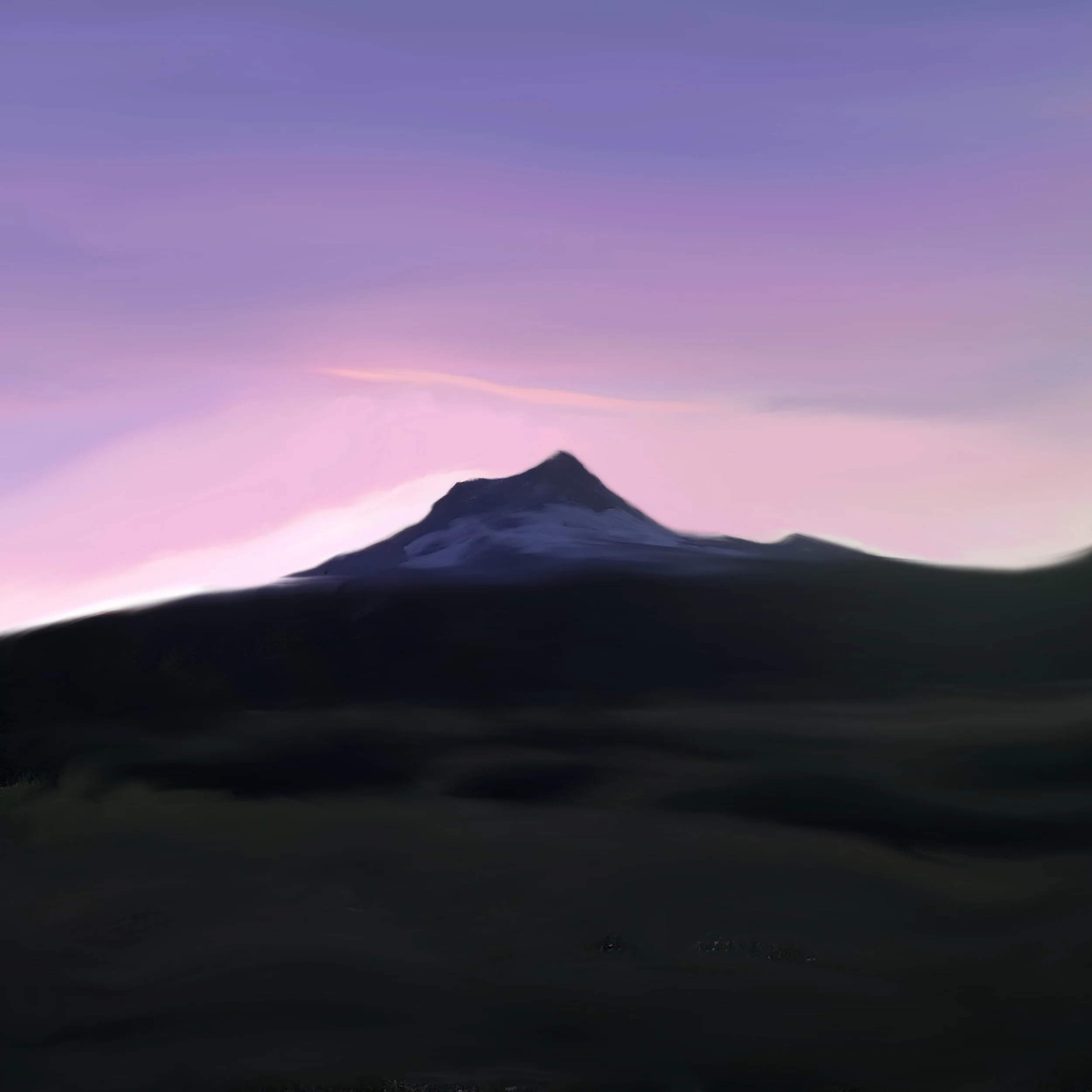 Digital Illustrations