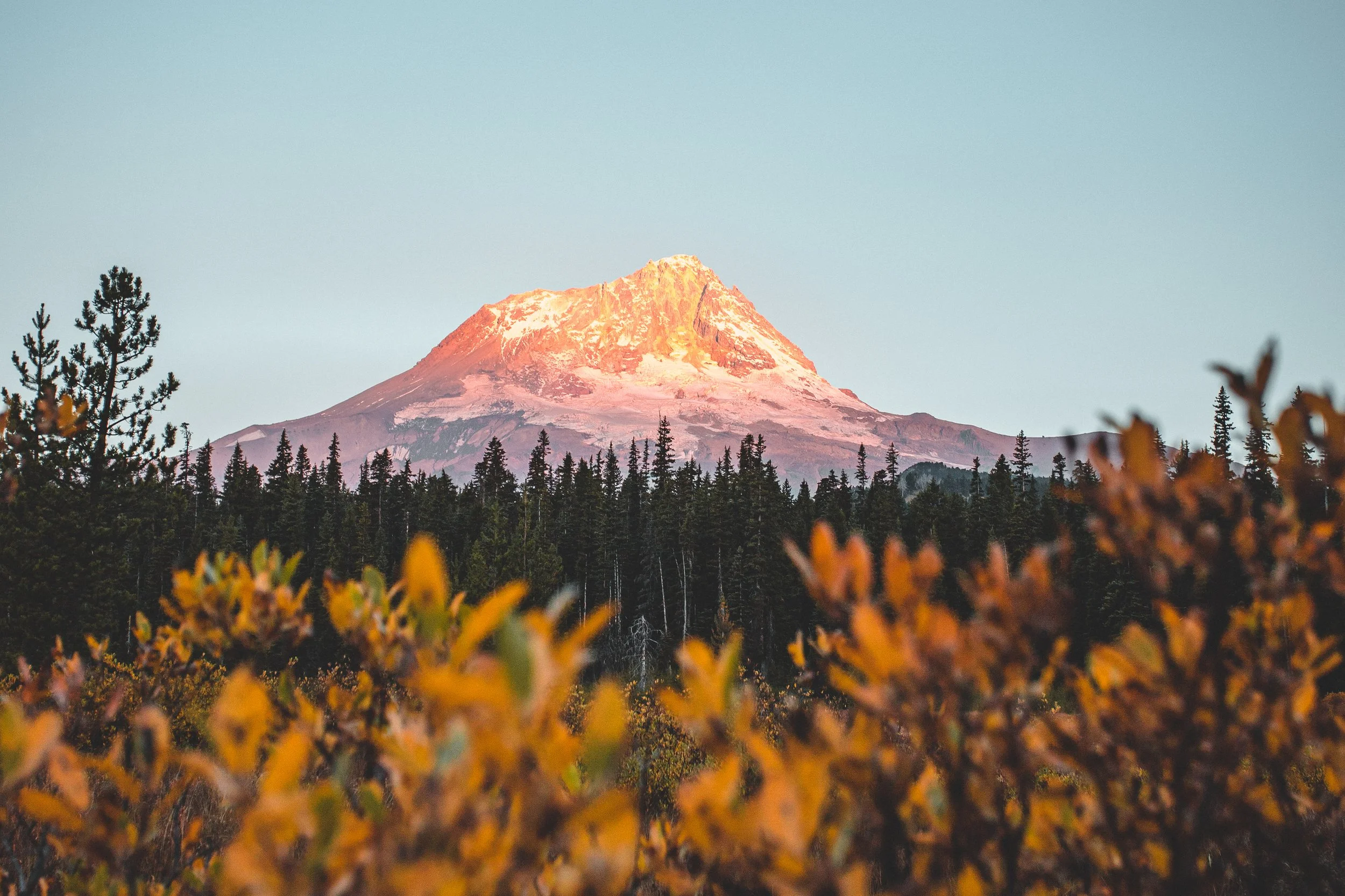 Top 7 Hikes Near Mt. Hood, Oregon 