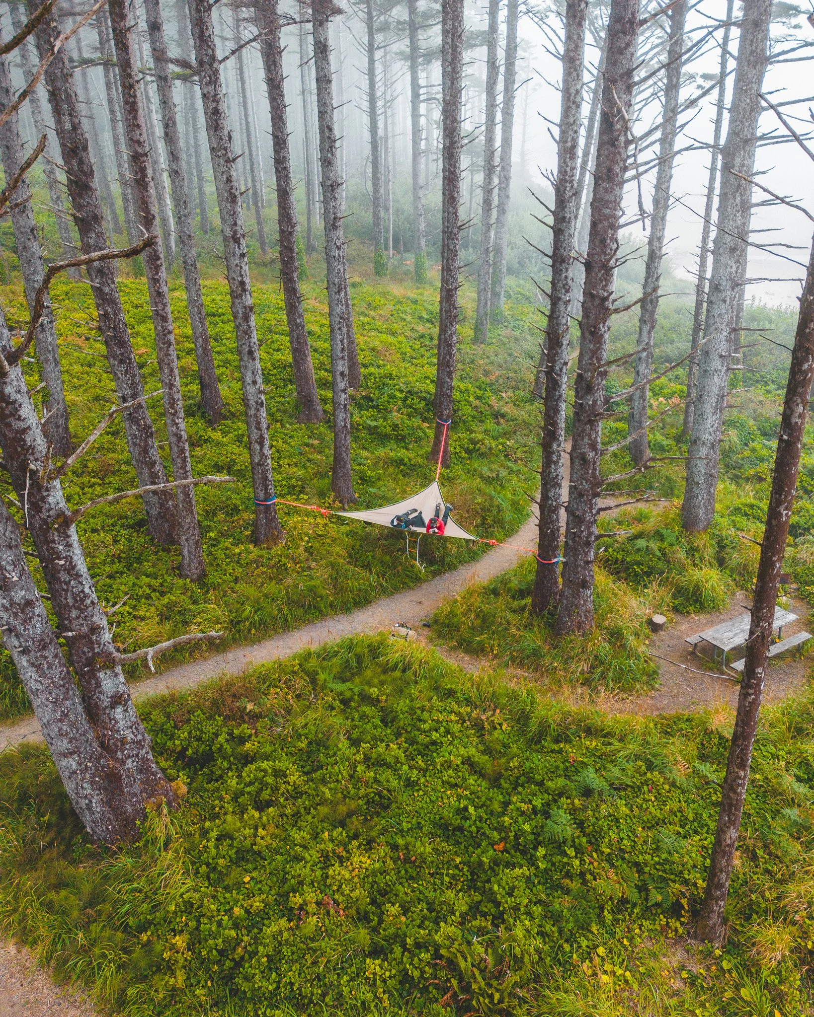 DJI_0048-2.jpg