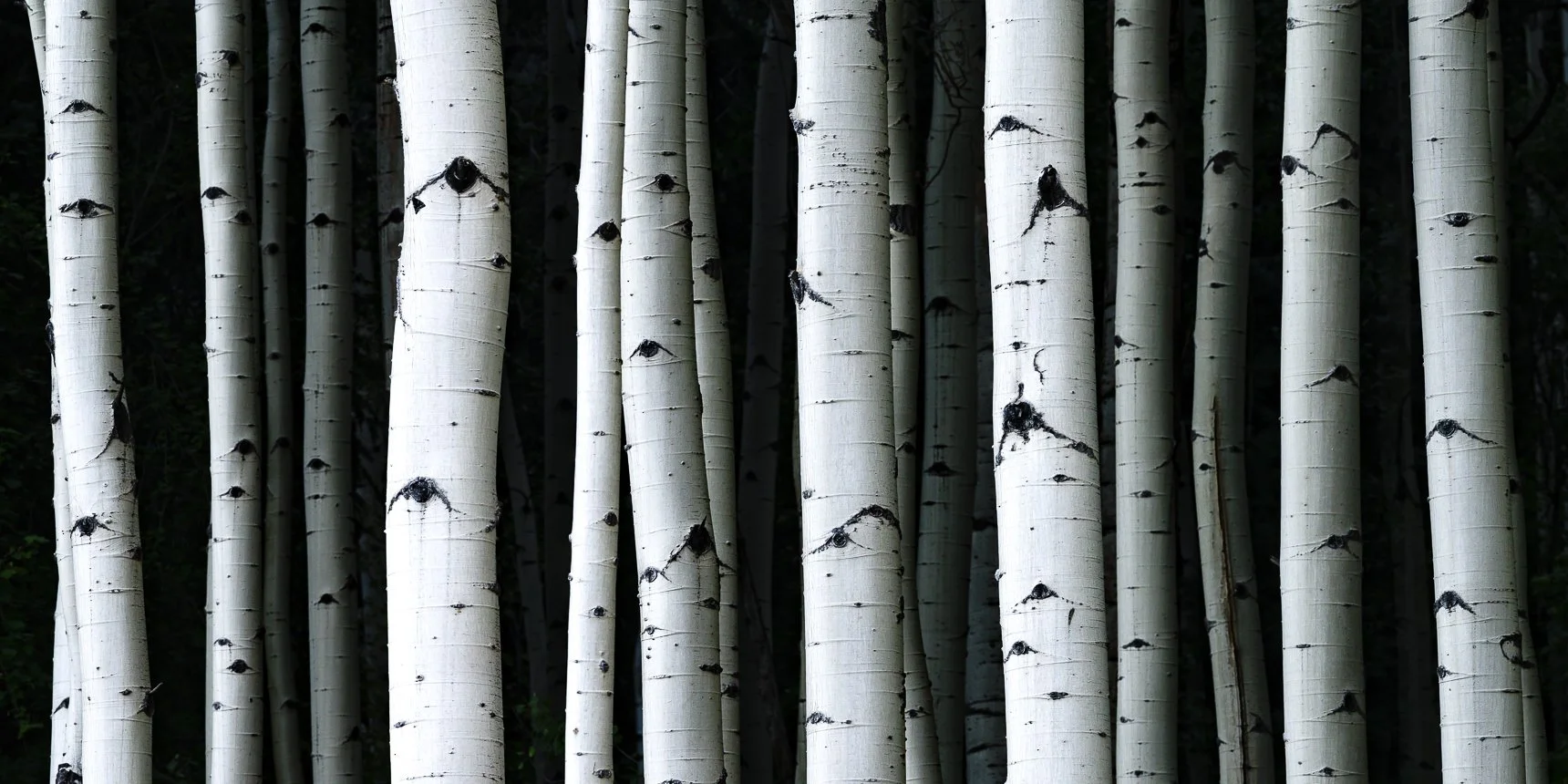 Black and White Artwork-15.jpg