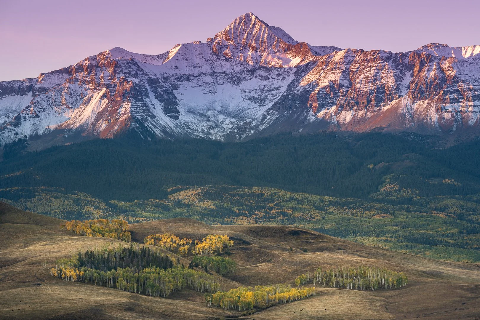 Colorado Fall Colors Photography in Telluride, Colorado