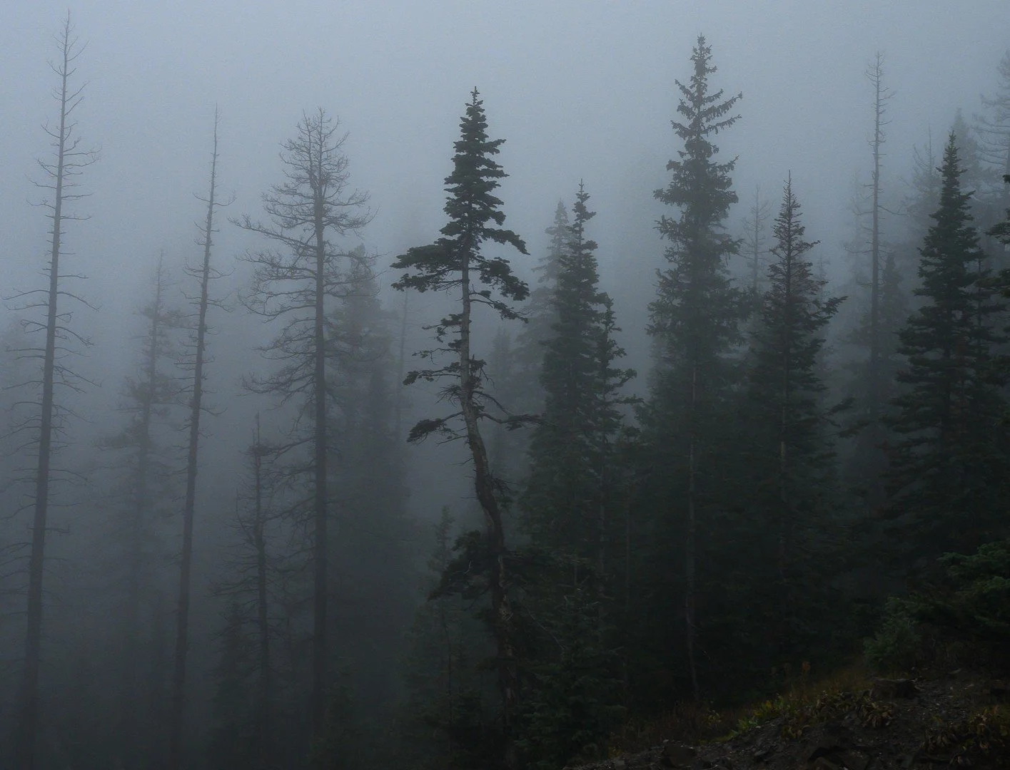 Colorado Pro Photographer showdown