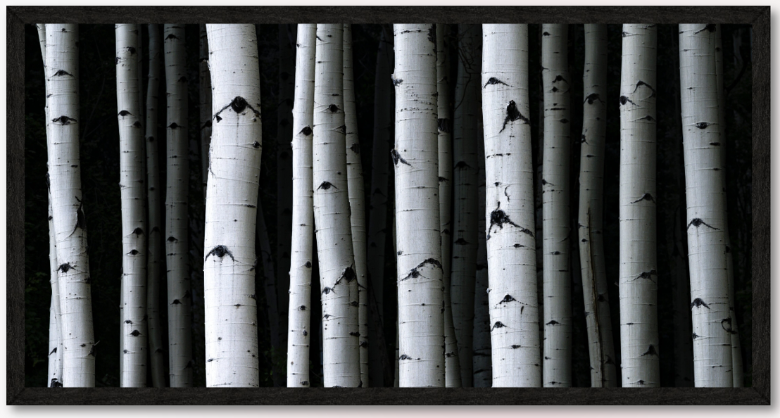 Enchanted Forest 30x60.png