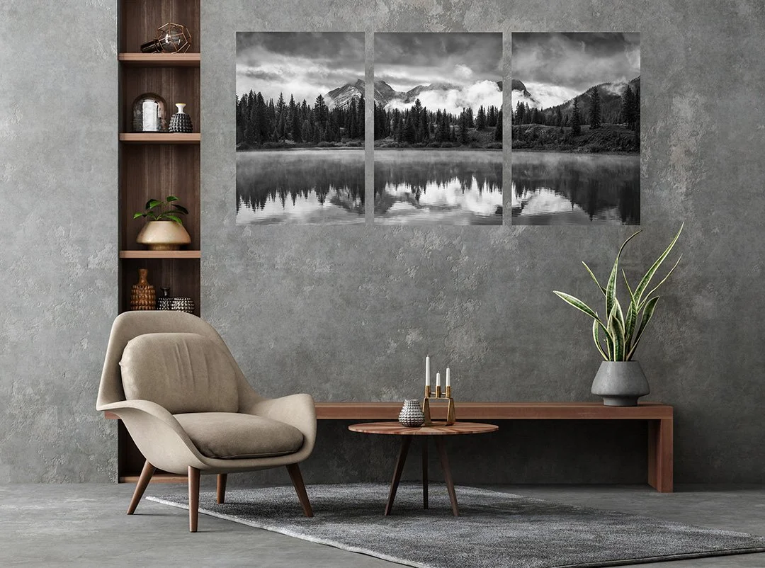 Moody Molas Triptych.jpg (Copy)