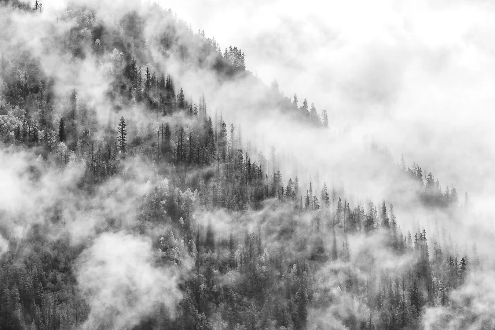 Black and White Artwork-7.jpg