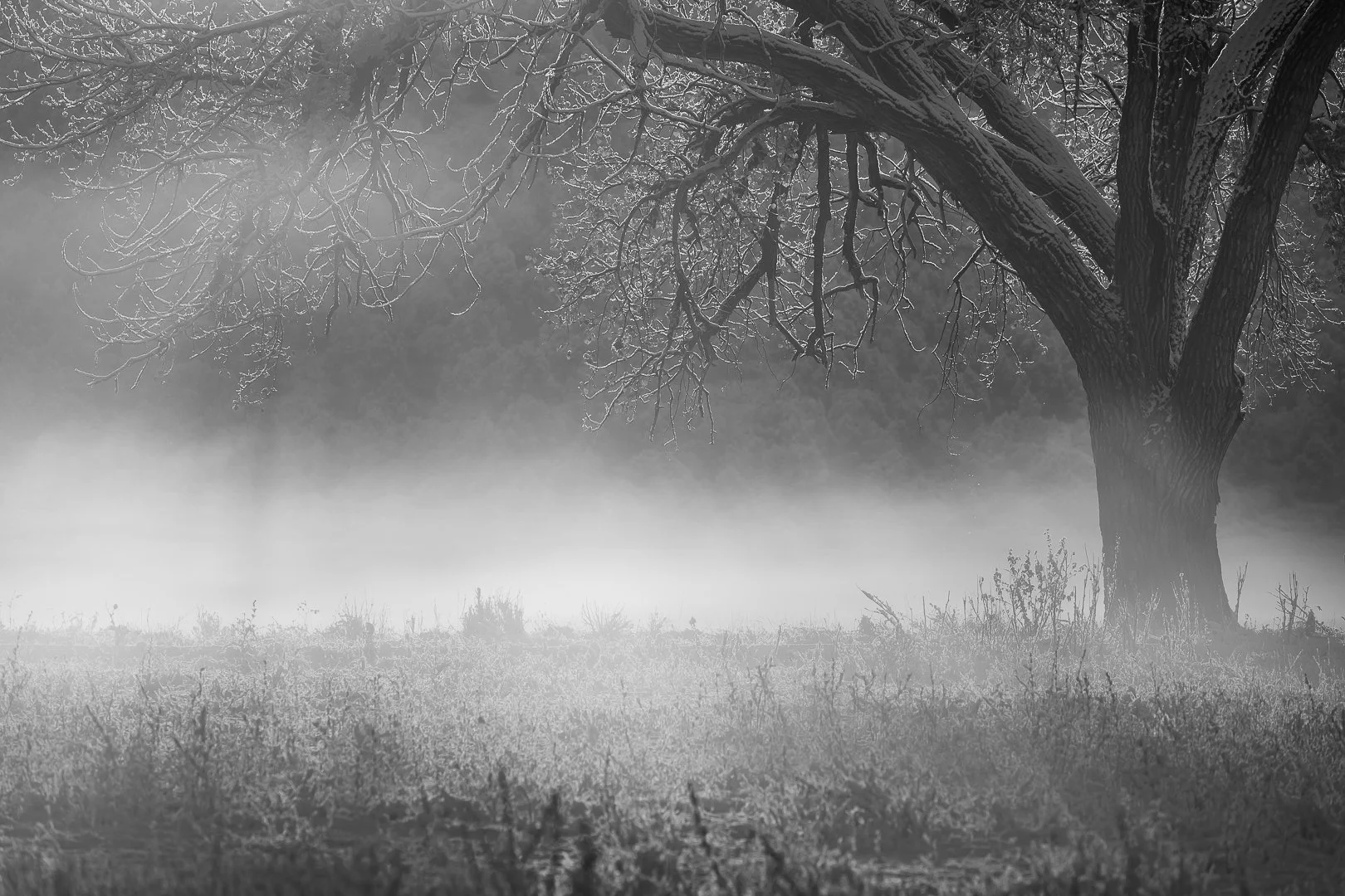 Black and White Artwork-5.jpg