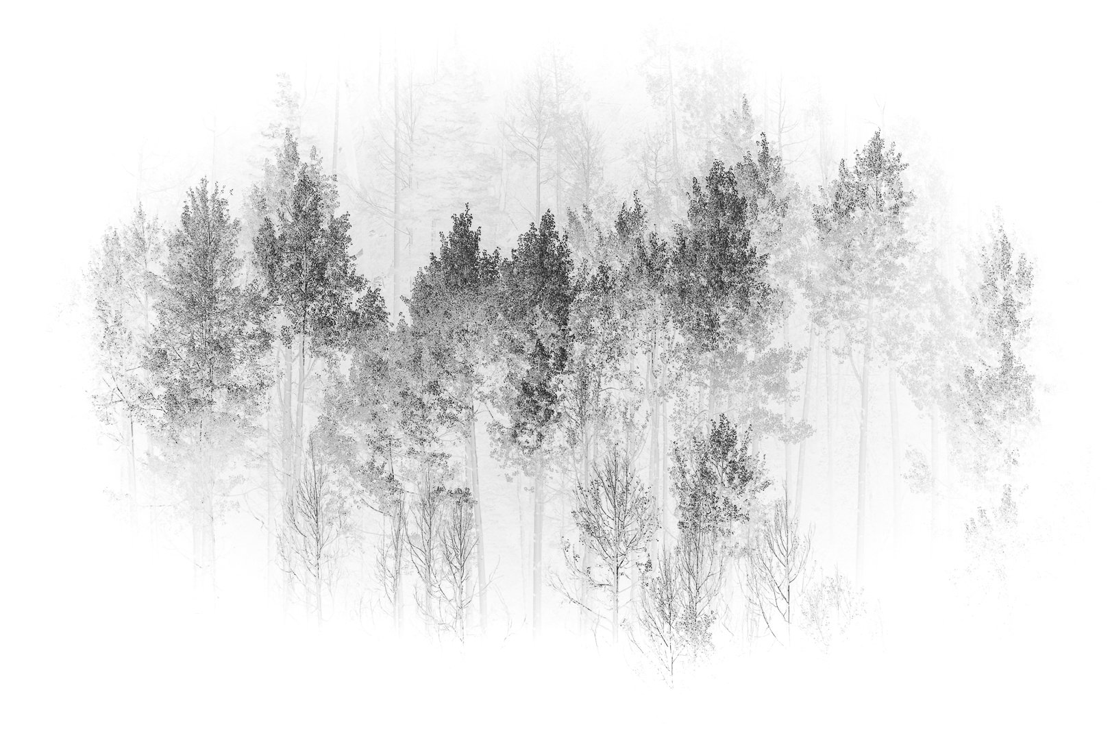 Last Light_24x36_Semi Glossv2-2.jpg