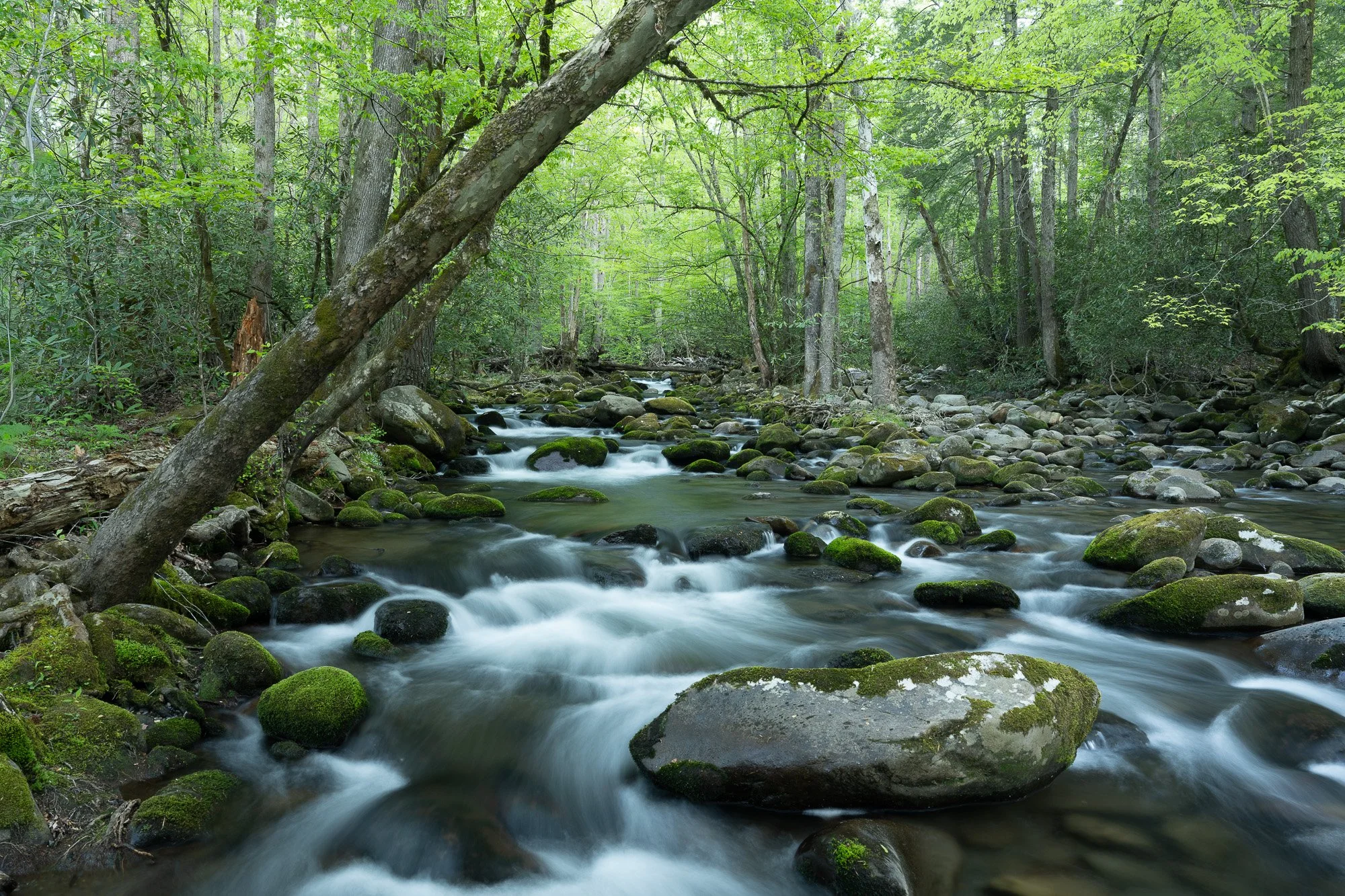 Cascades in the Smokey Mountains.jpg