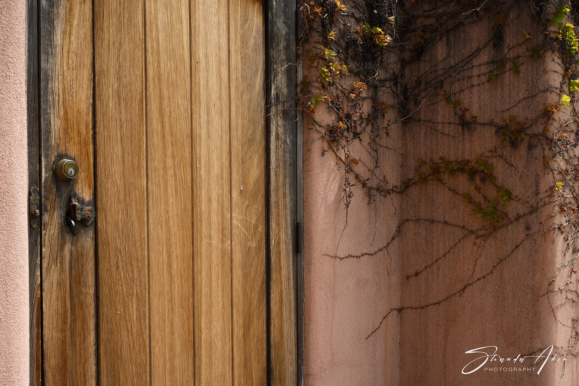 A wooden door with a doorknob and a latch, set in a wall with creeping vines and some small green leaves growing on it.