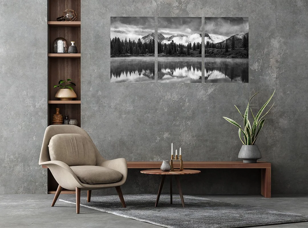 Moody Molas Triptych_30x60.jpg (Copy)