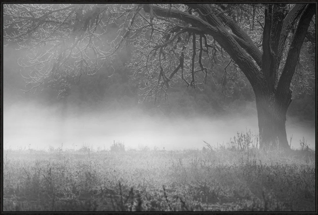 Untitled_Float Frame.jpg