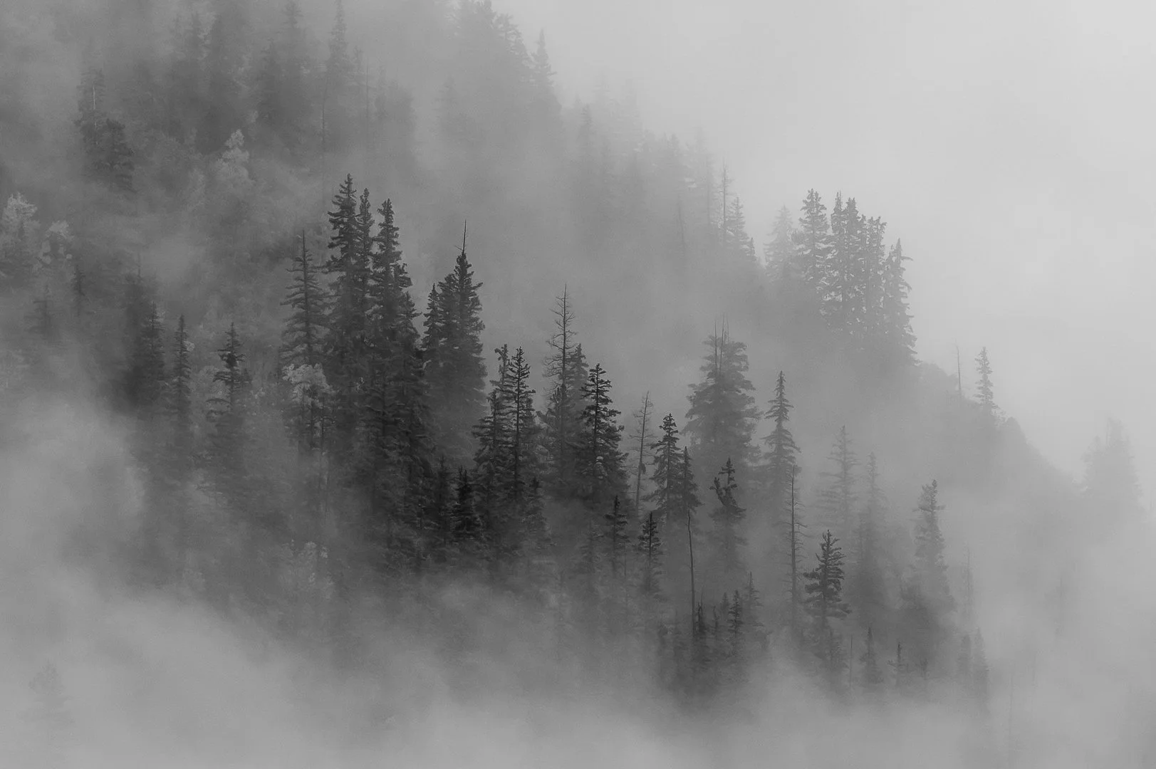 6 - Neverending Story