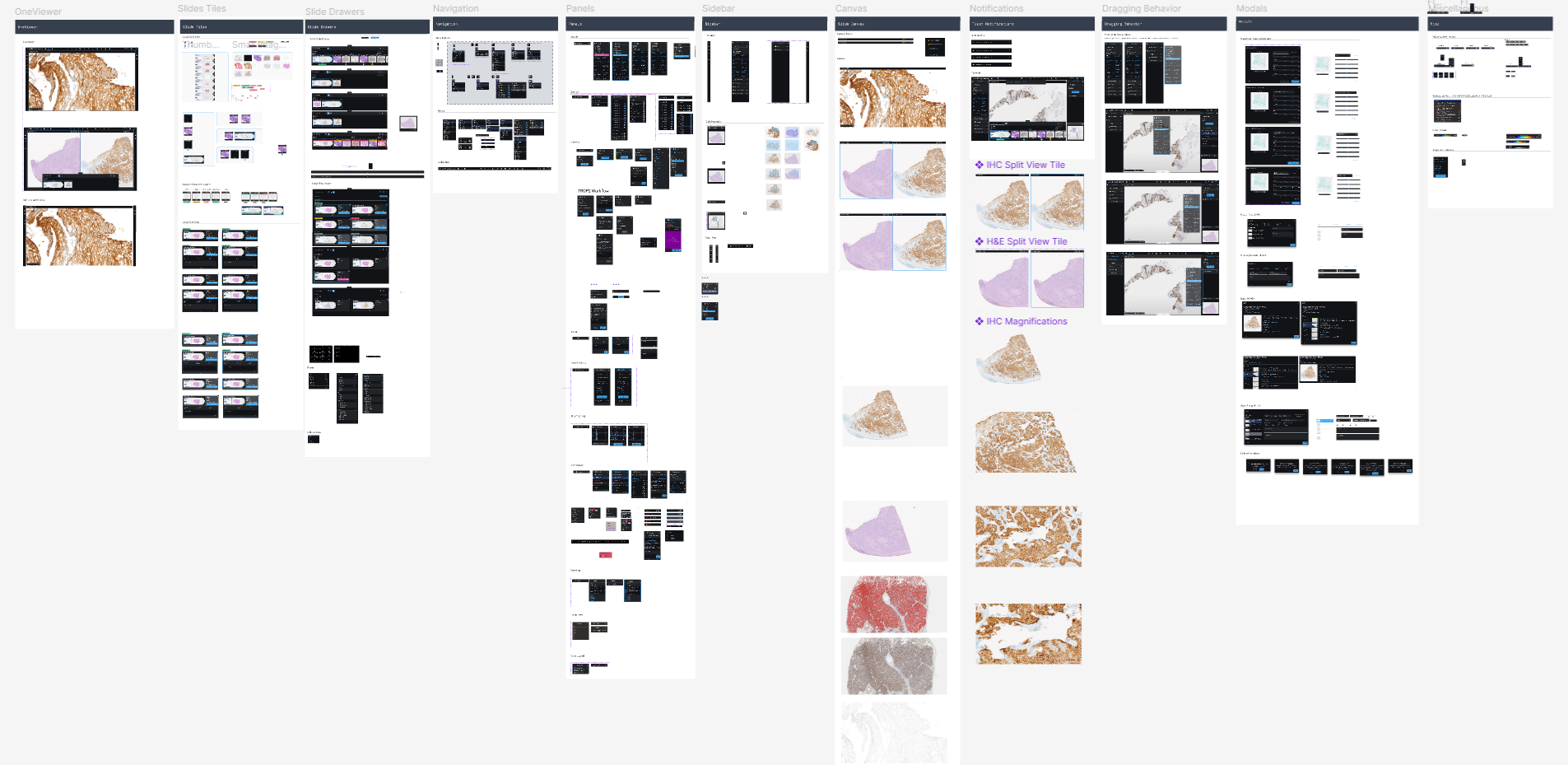 navify Digital Pathology component overview