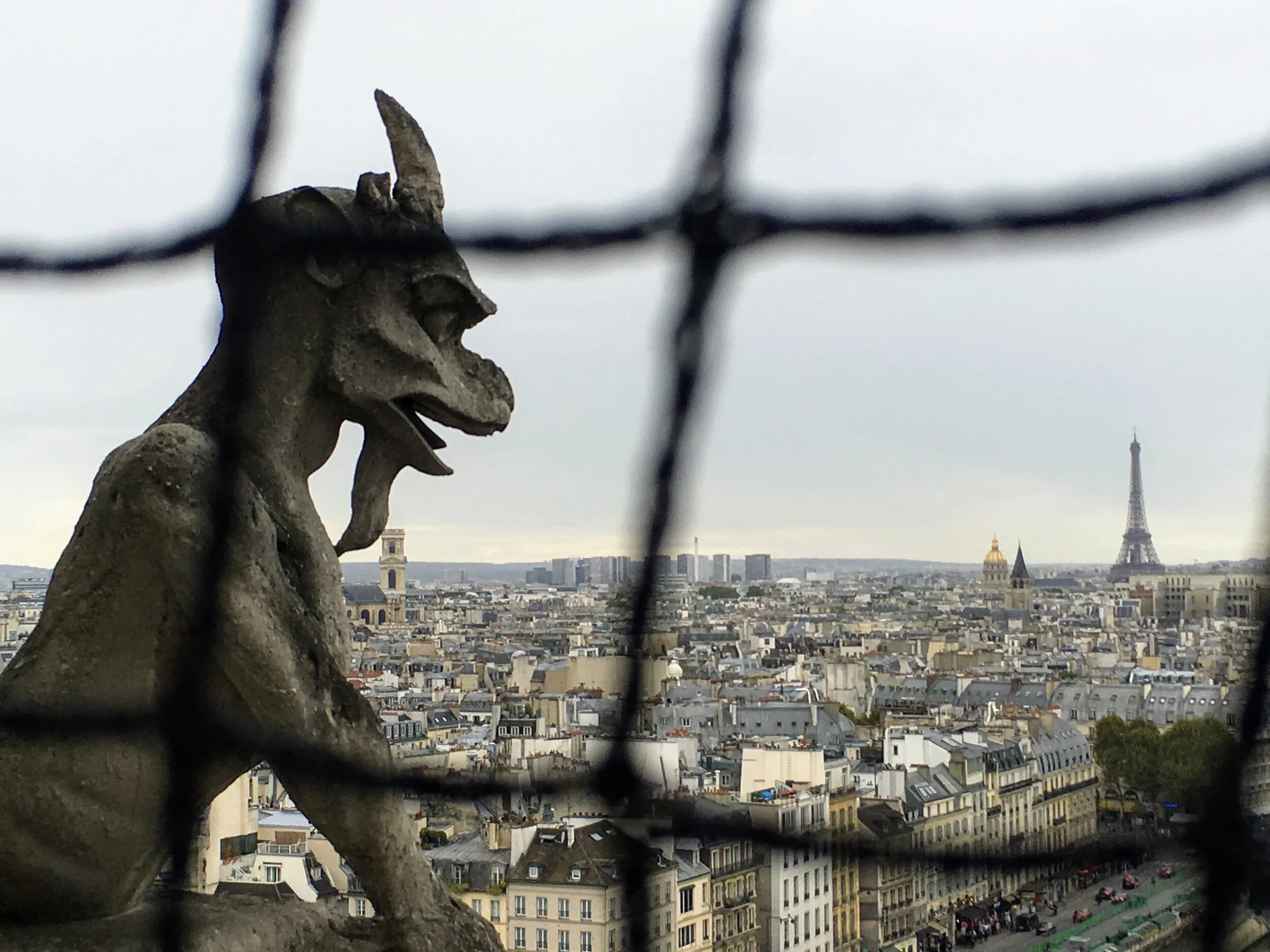 Cathédrale Notre-Dame, Paris, France
