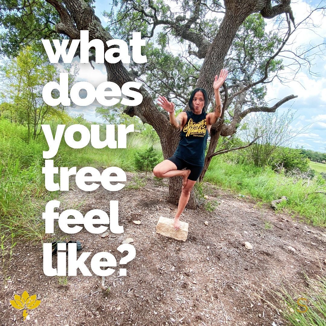 ⚡️it&rsquo;s not how it looks, but how it  F E E L S⚡️ vrikshasana gives me all the feels with foot variations on your ankle, shin, or thigh. hands to heart center, grow your branches, eagle arms, or my personal favorite - fall over! have fun with yo