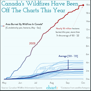 Are We Really Having More?