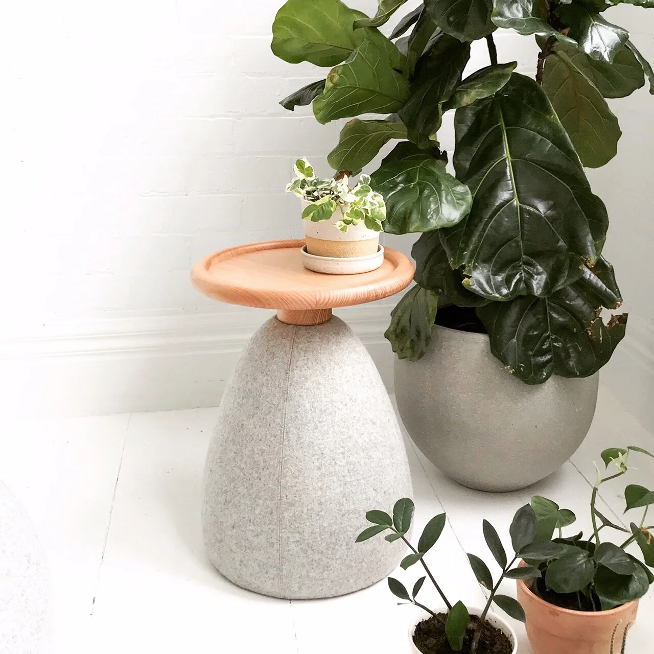 Contemporary side table with a round wooden tray top, holding a small potted plant, next to large and small potted plants with lush green leaves on a white floor.