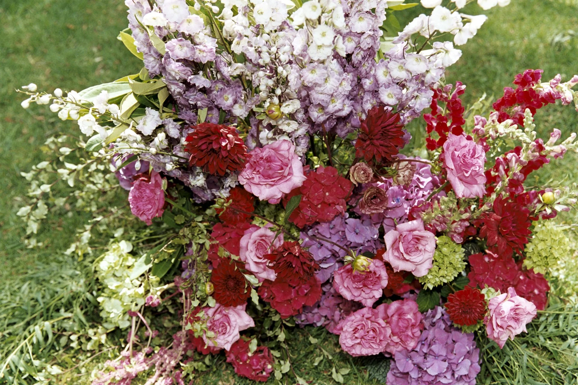 Issi & Dan - blog - 003.jpg