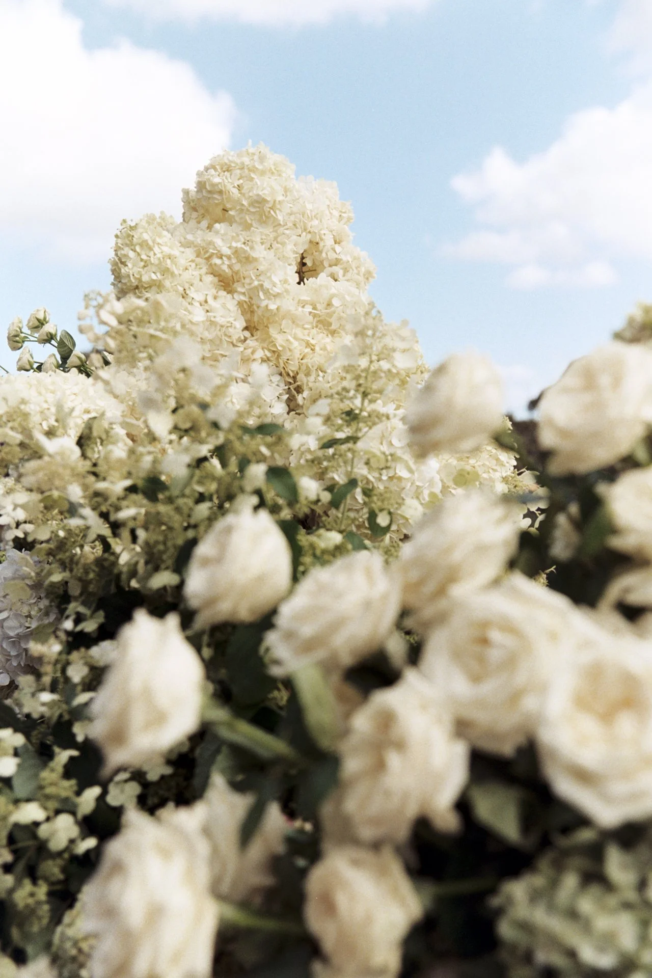 Chloe & Azren - blog - 033.jpg