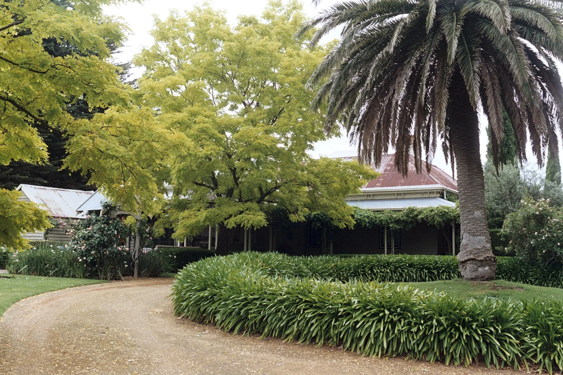 Kathryn & Alan - blog - 001.jpg