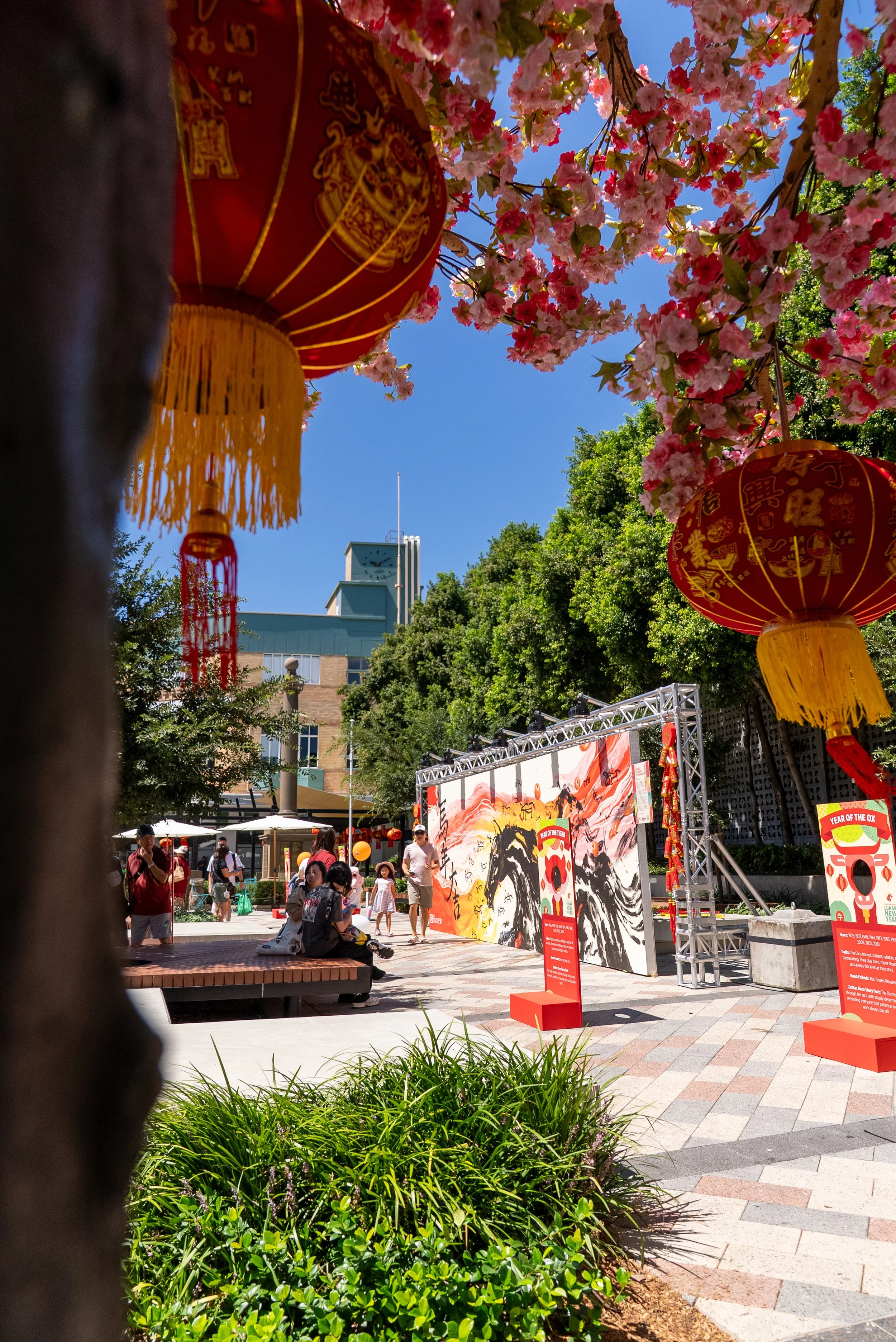 CHINESE NEW YEAR 2026-0186.jpg