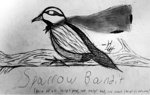"Sparrow Bandit" 2013 pencil on paper