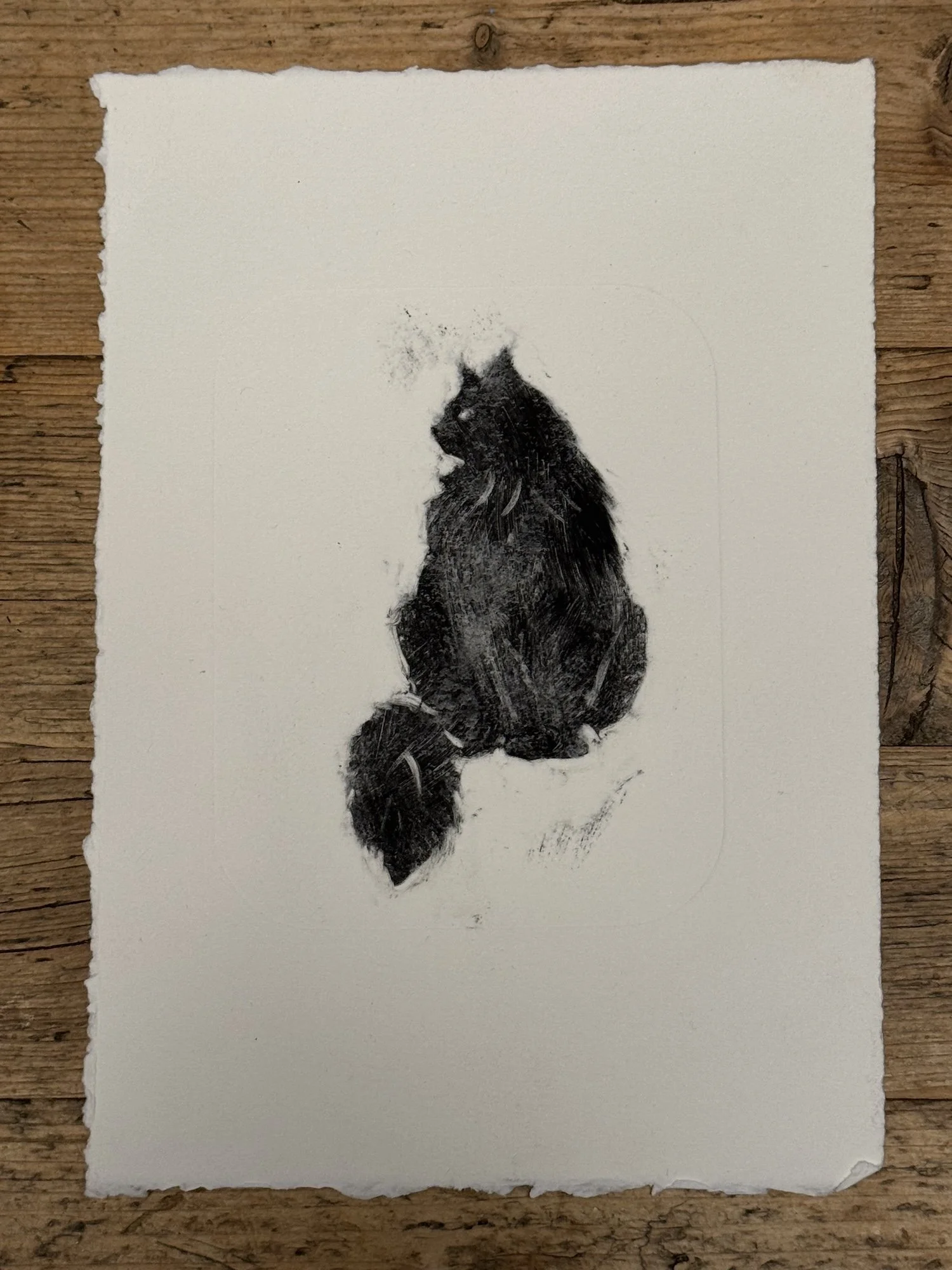 Poised - - Hannah And Her Press - Hannah Shepheard.jpeg