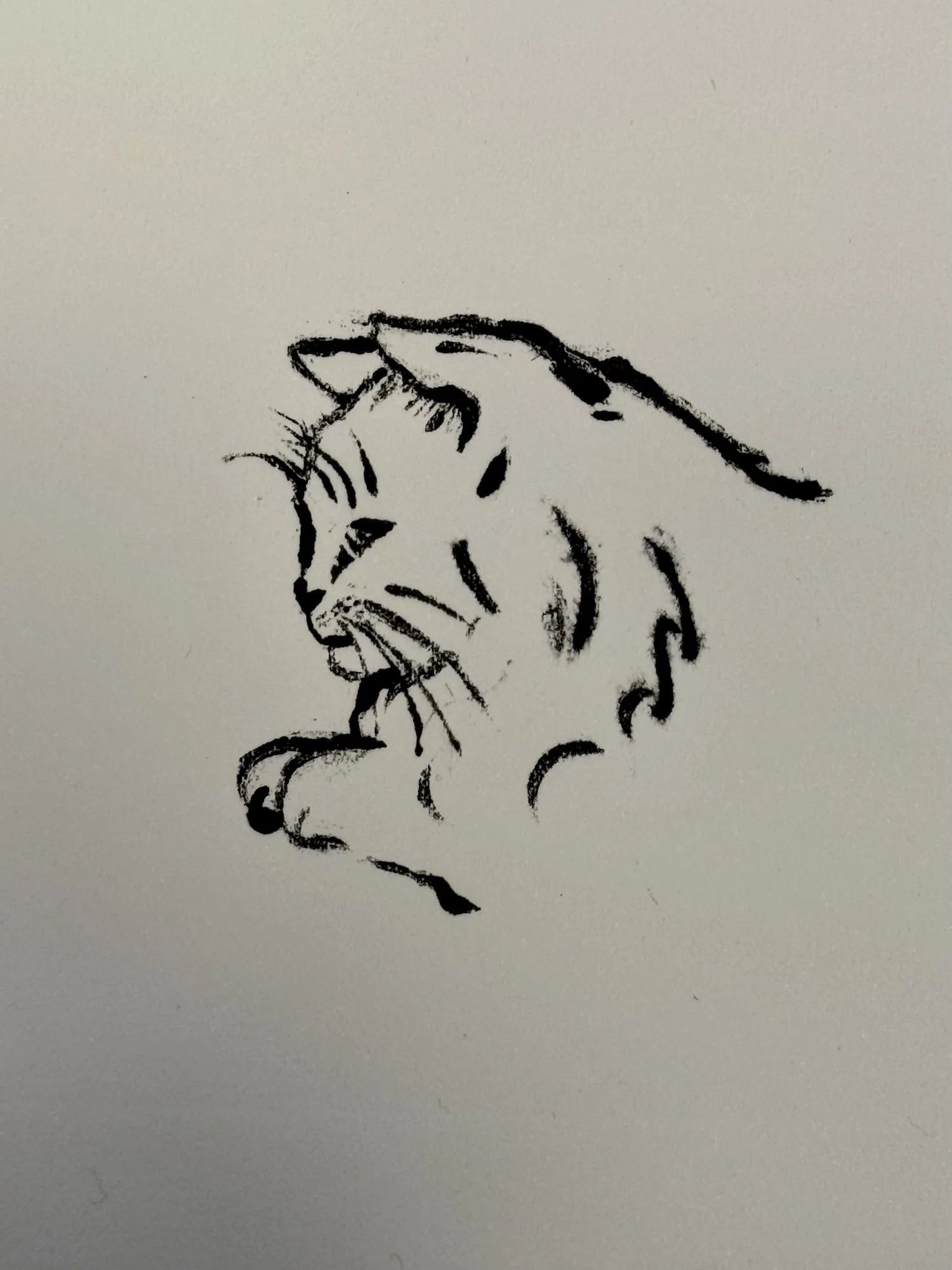 Looking - Hannah And Her Press - Hannah Shepheard.jpeg