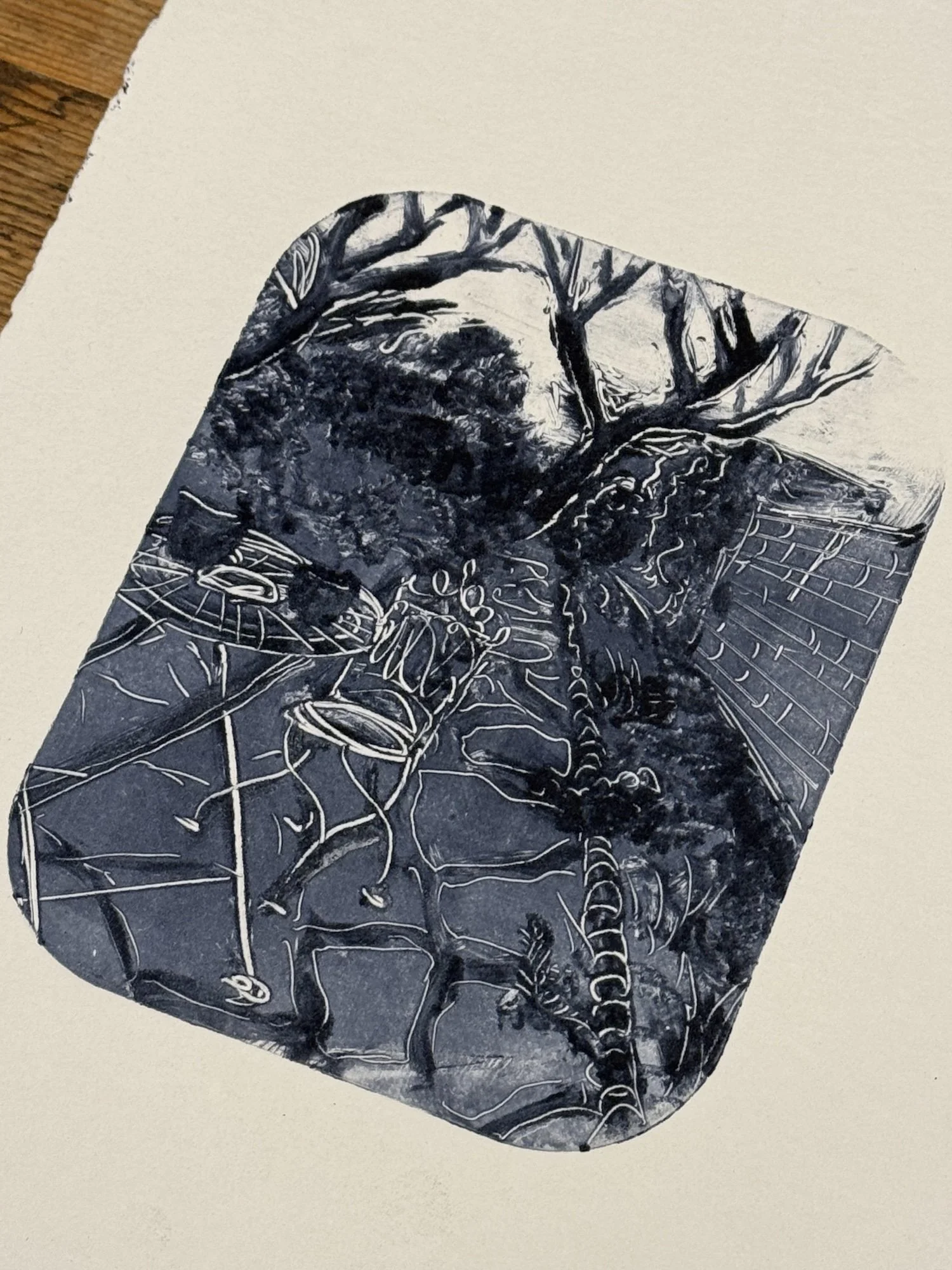 Walled Garden - Hannah And Her Press - Hannah Shepheard.jpeg