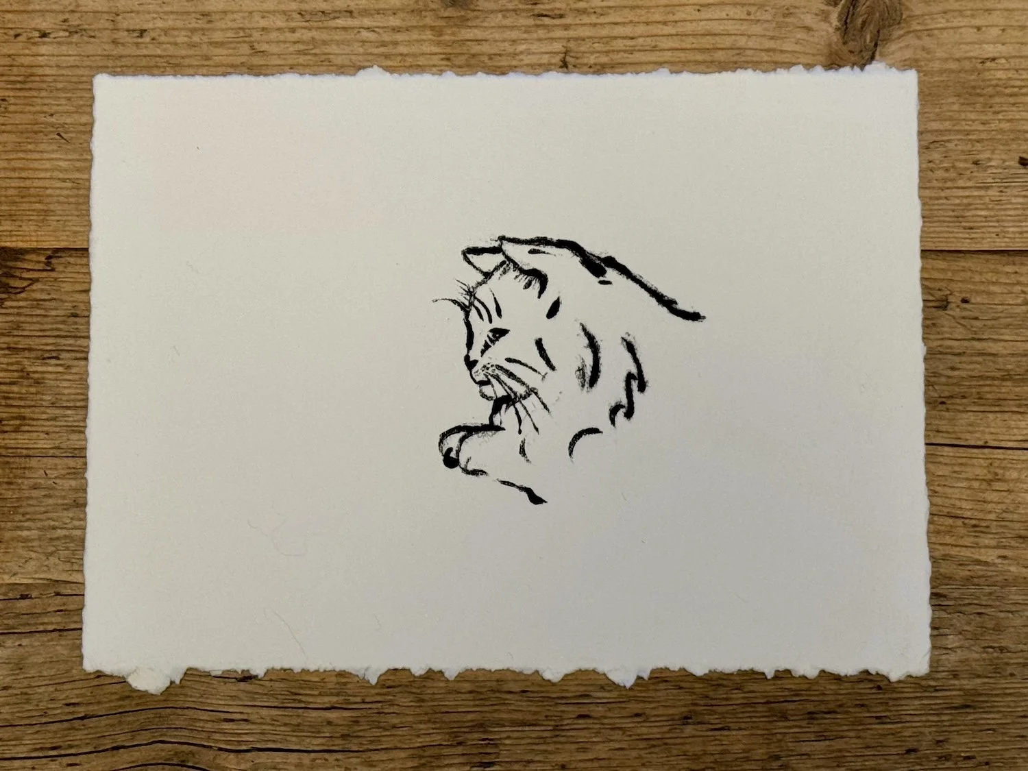 Looking 1 - Hannah And Her Press - Hannah Shepheard.jpeg