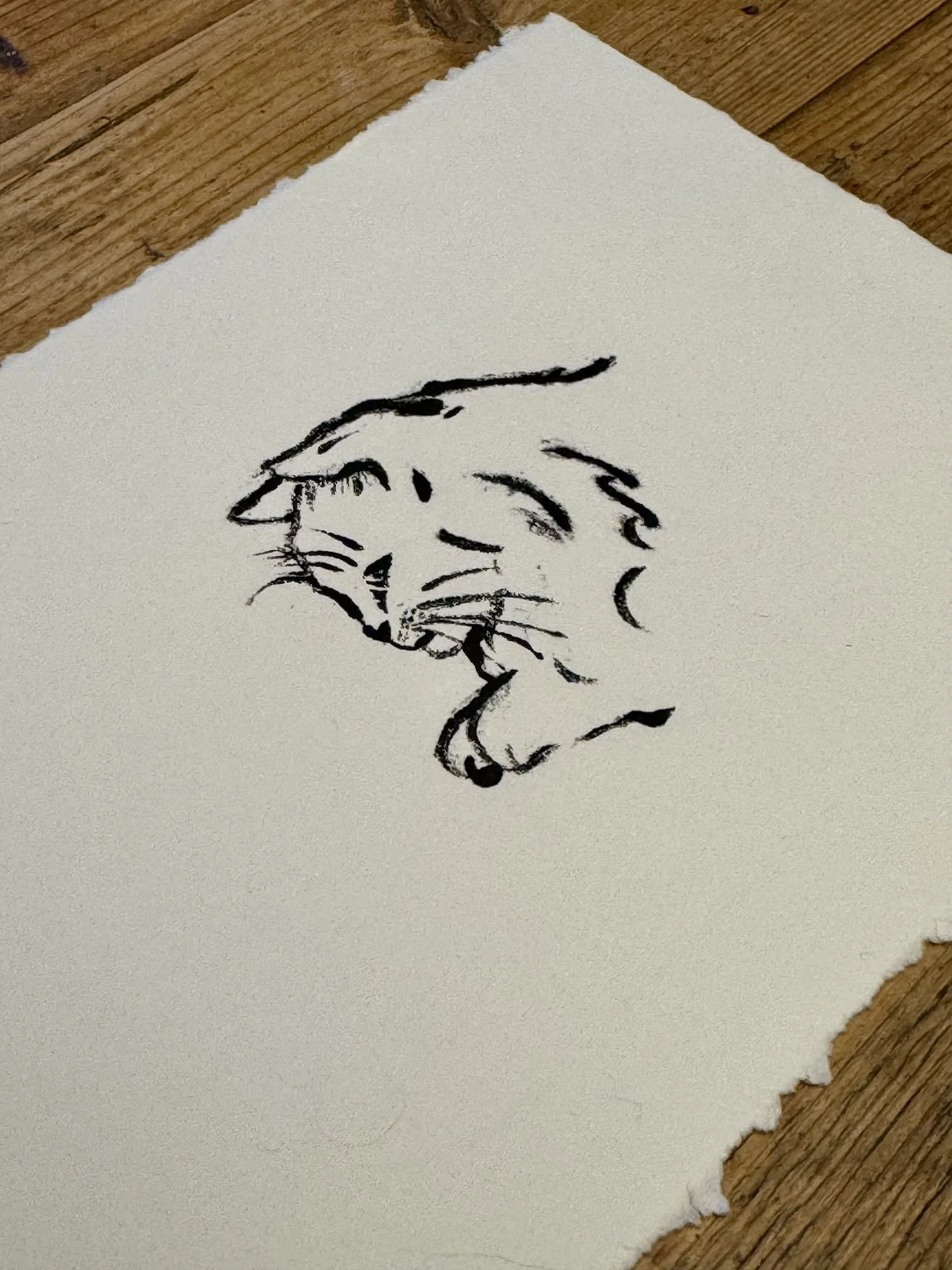 Looking 3 - Hannah And Her Press - Hannah Shepheard.jpeg