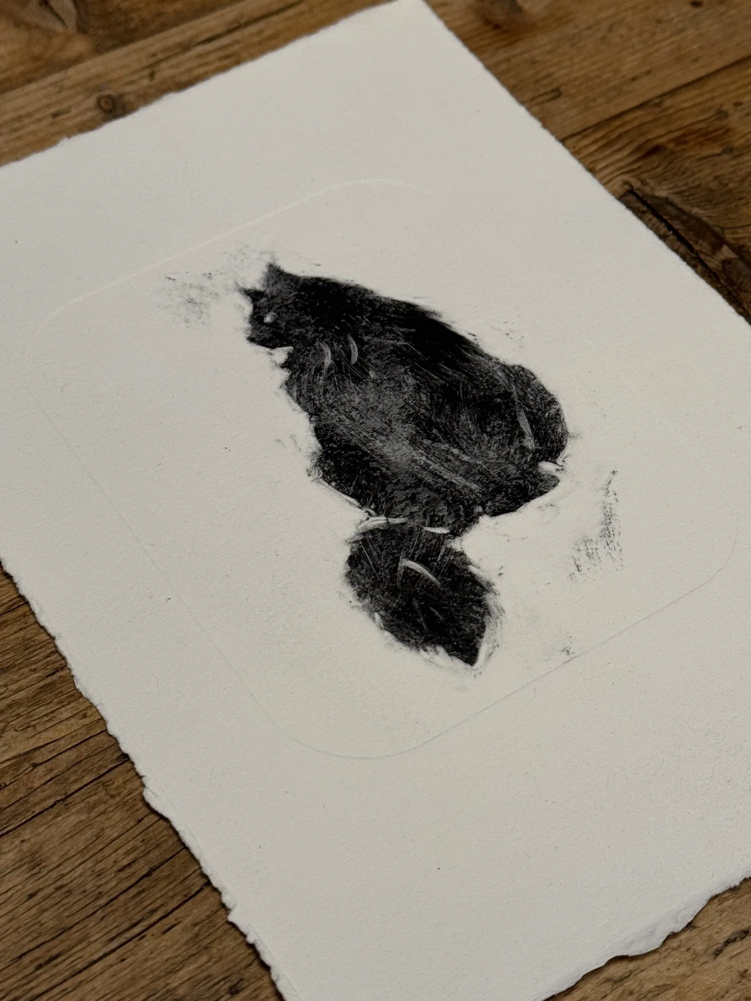 Poised cat - Hannah And Her Press - Hannah Shepheard.jpeg