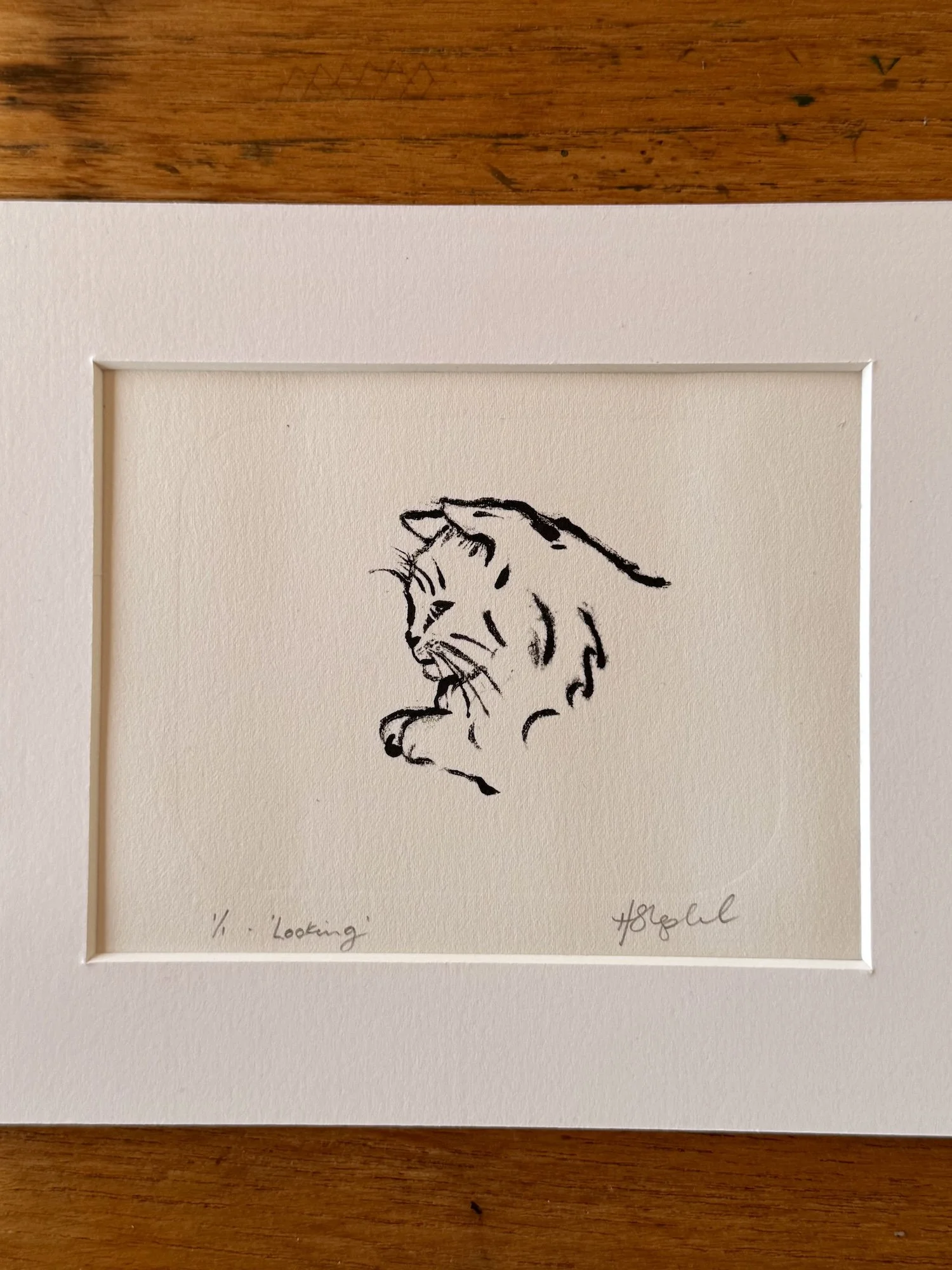 Looking - Original Monotype Cat Print