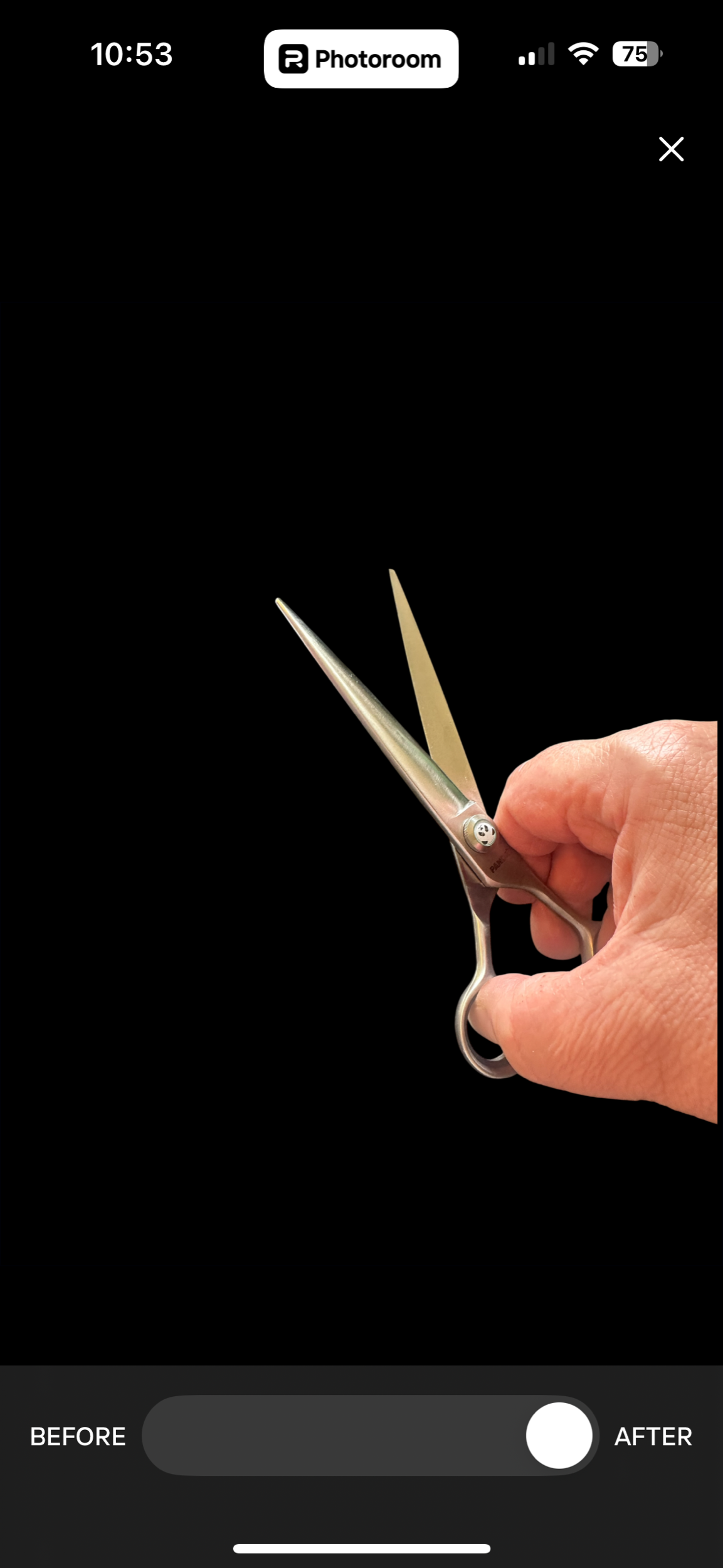 8100CAA0-24F1-4282-BA9E-ADA6FADBC24D.png