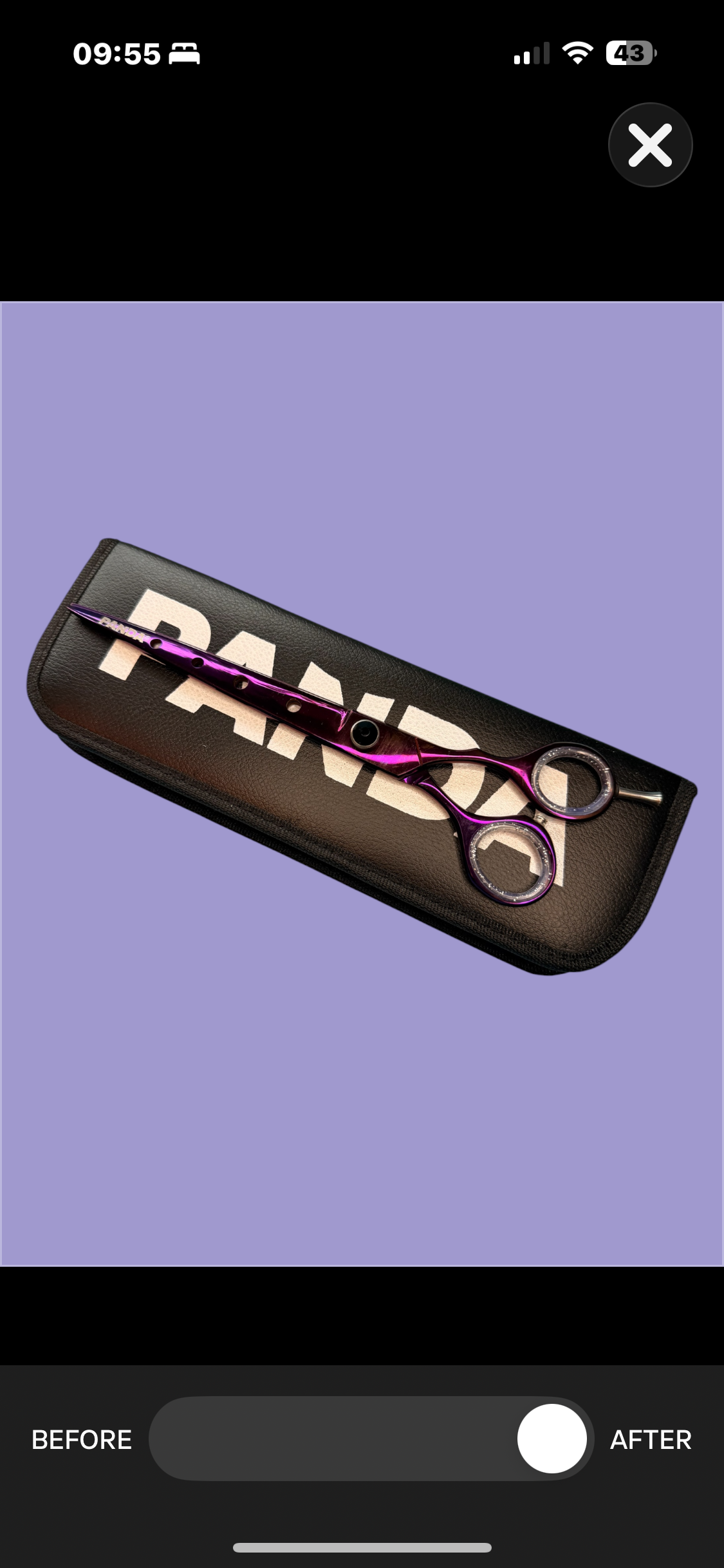 B945E17E-5D51-4C08-8CE0-910FE64D13A0.png