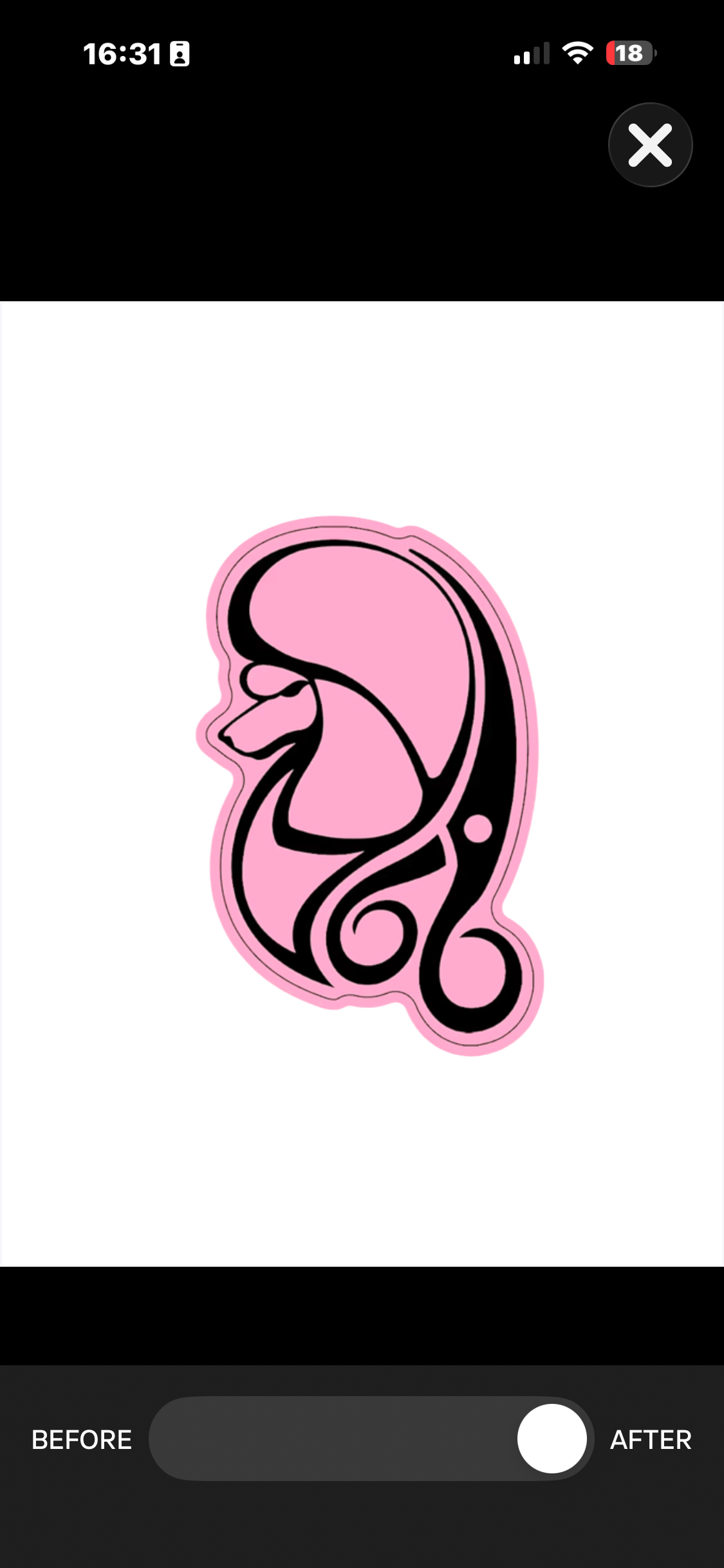 5ED88441-7023-4DFF-AFCE-28DEE7A8926F.png