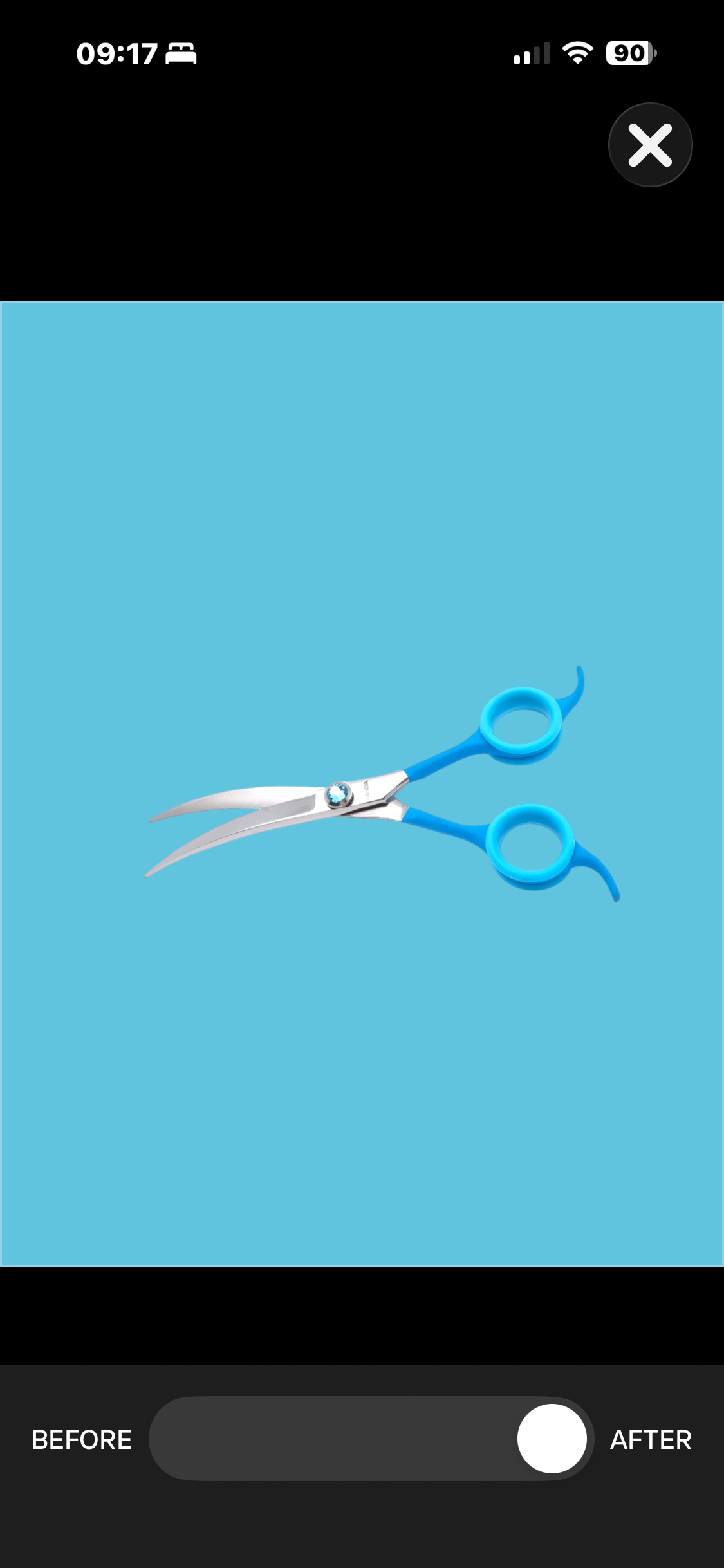 3CE48C1C-9350-4A91-9AD0-BD3837161CDA.png