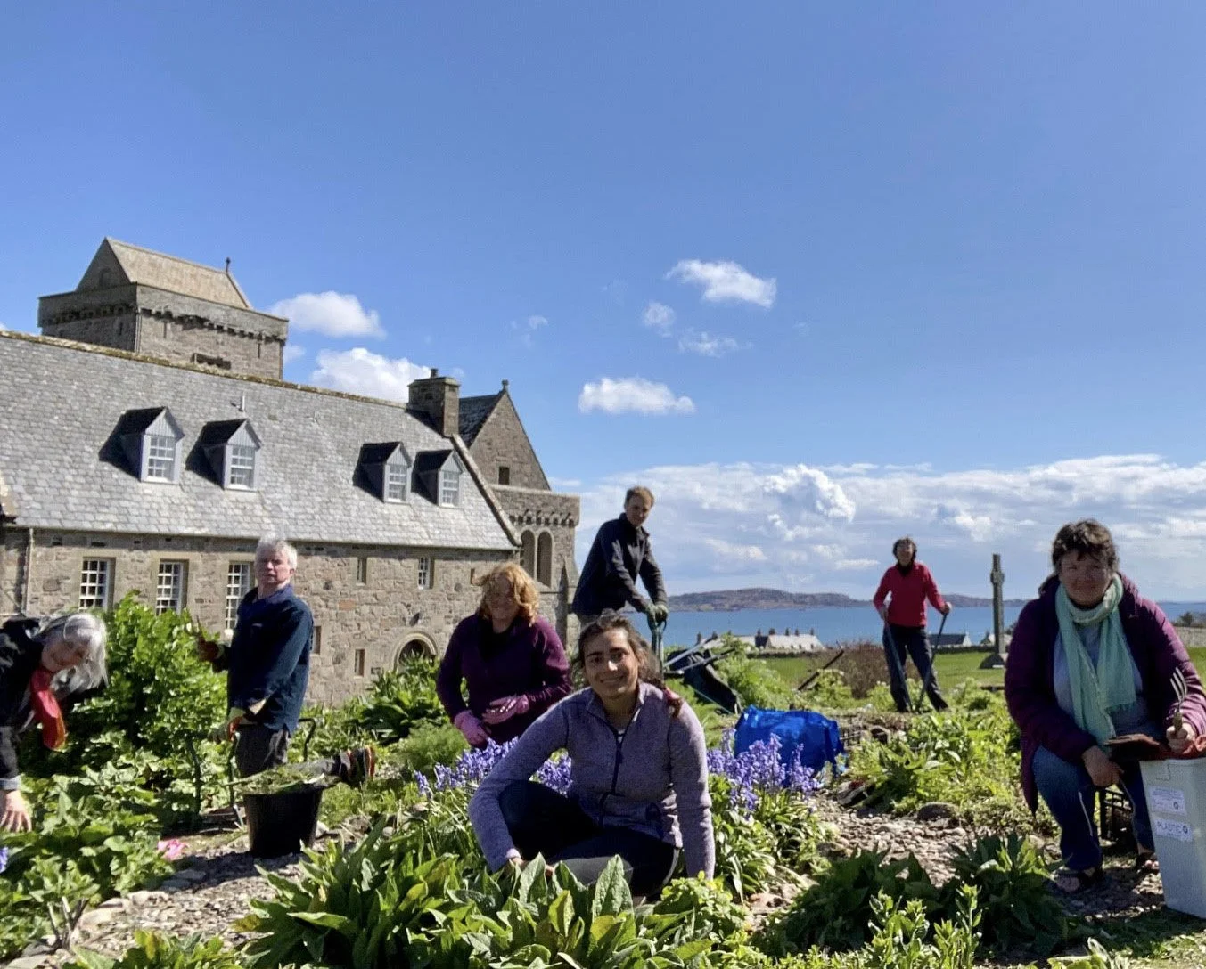 Seven people gardening on a sunny day, with Iona Abbey behind..