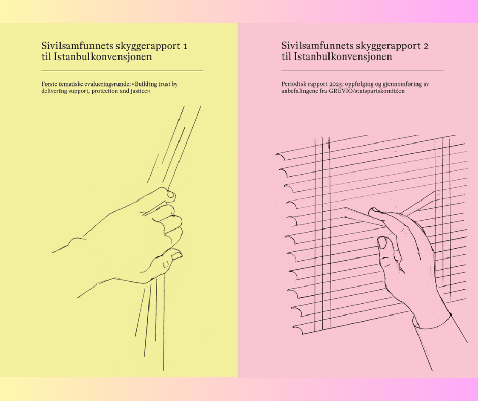Sivilsamfunnets skyggerapporter til Istanbulkonvensjonen