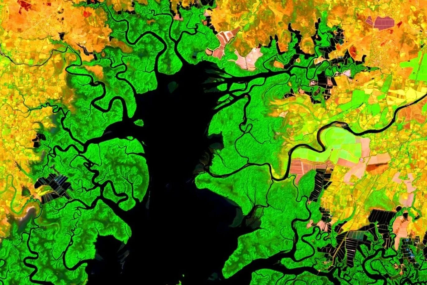 2021-02-10-00_00_2021-02-10-23_59_Sentinel-2_L2A_Custom_script (2).jpg