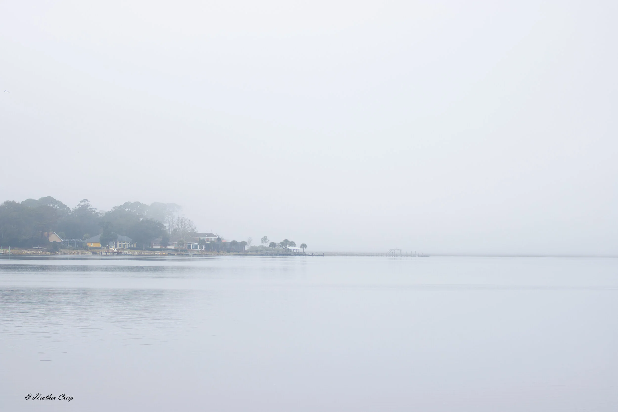 Foggy Morning  Sat..jpg