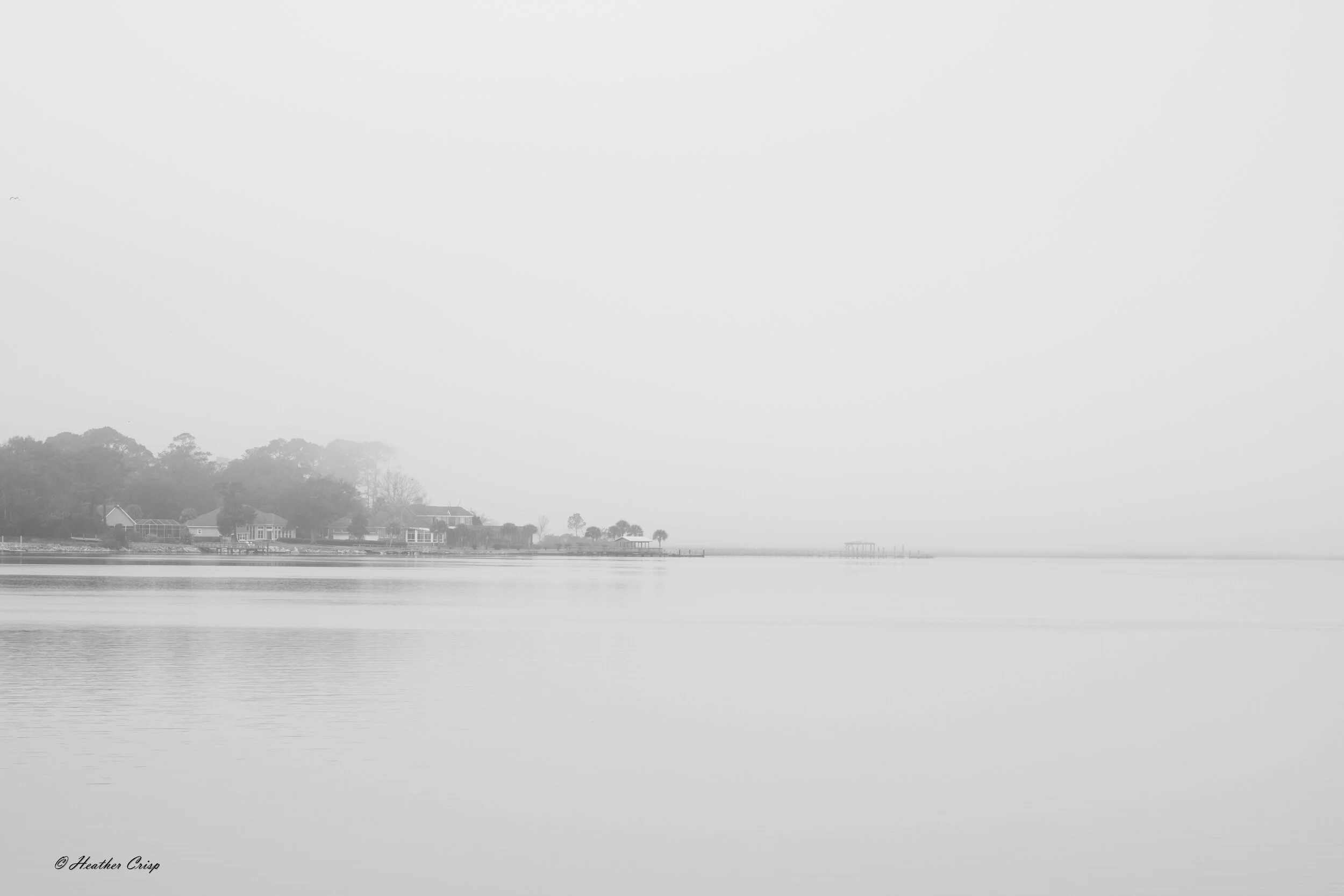 Foggy Morning  BW.jpg
