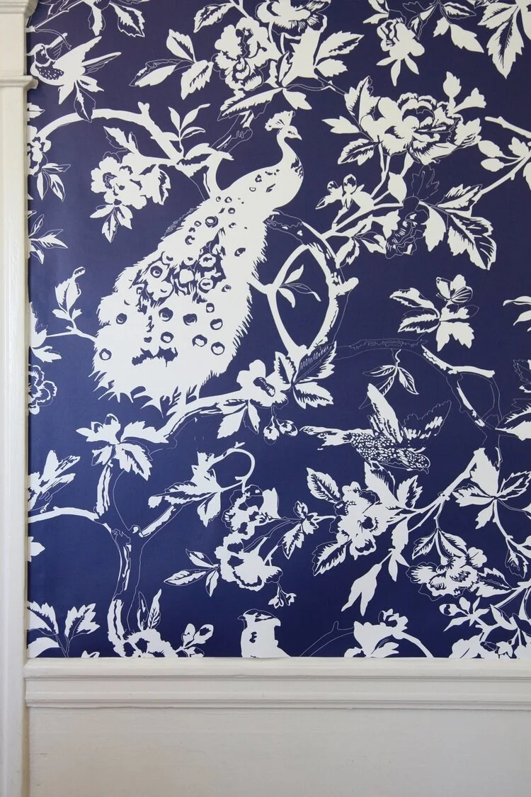 Peacock_Collection_Navy_Plain_revised.jpg