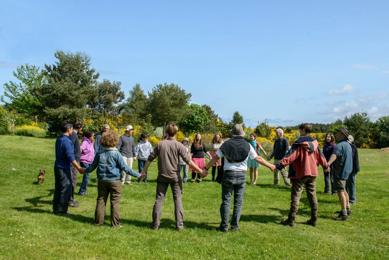 Experience Week I to We